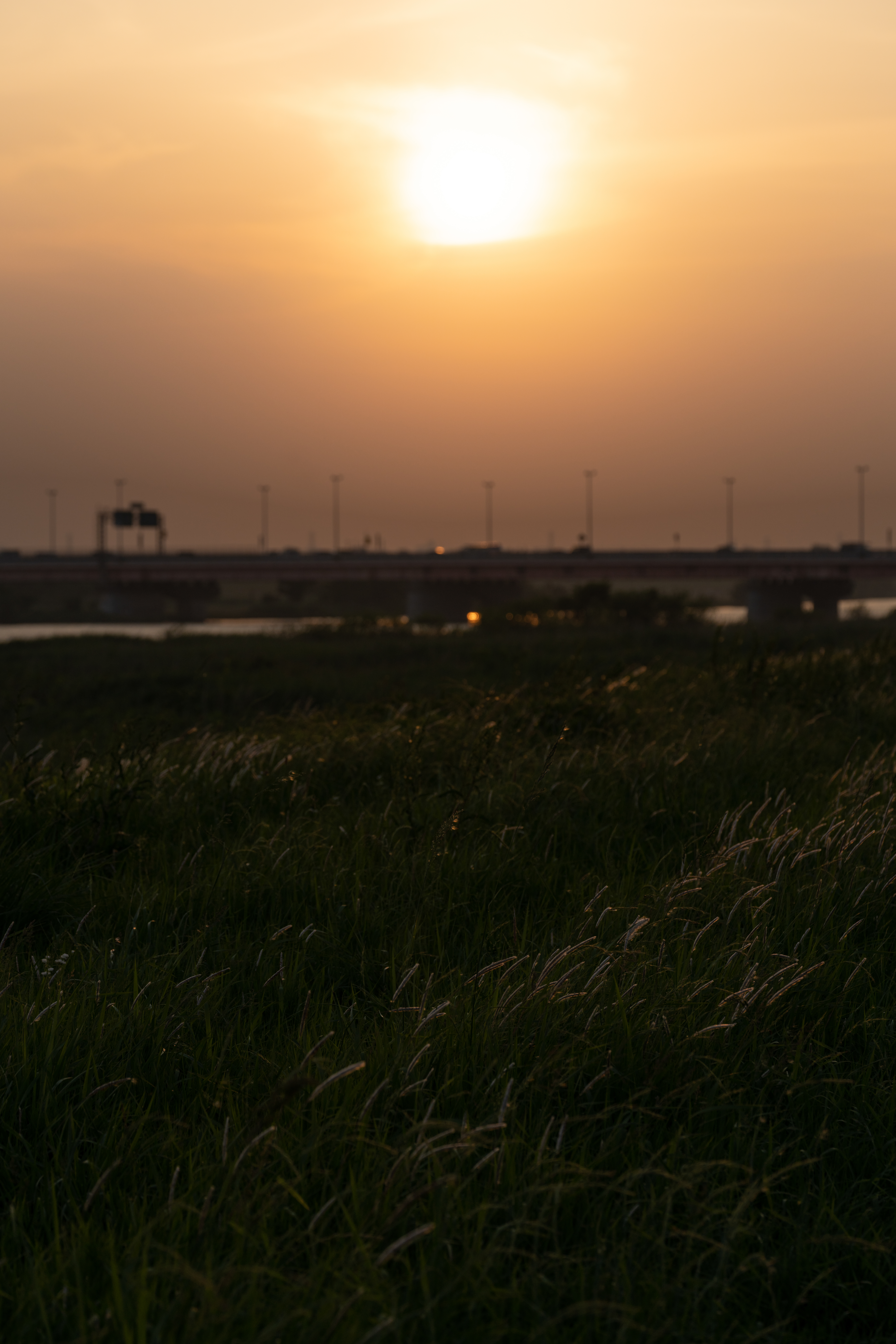 <span class="fnt-85">ソニーα7R IV＋タムロン 70-180mm F/2.8 Di III VXD（111mm） / マニュアル露出（F5.6・1/1,600秒） / ISO 100</span>