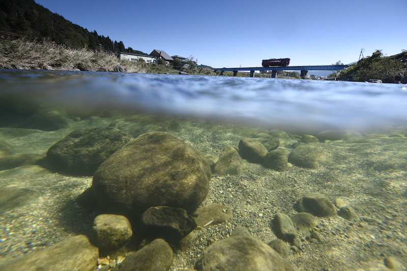長良川の清流をゆく長良川鉄道