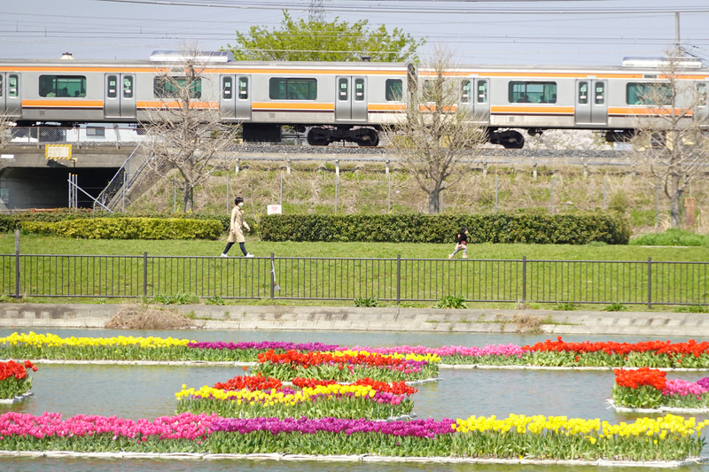 ソニーRX100 VII　ZEISS Vario-Sonnar T* 2.8-4.5/9.0-72（186mm相当）　絞り優先オート（F4.5、1/3,200秒）　ISO 800　WB:太陽光