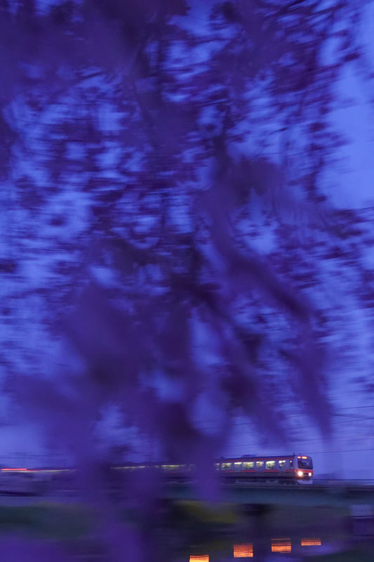 ソニーRX100 VII　ZEISS Vario-Sonnar T* 2.8-4.5/9.0-72（50mm相当）　絞り優先オート（F4、1/8秒）　ISO 1000　WB:太陽光