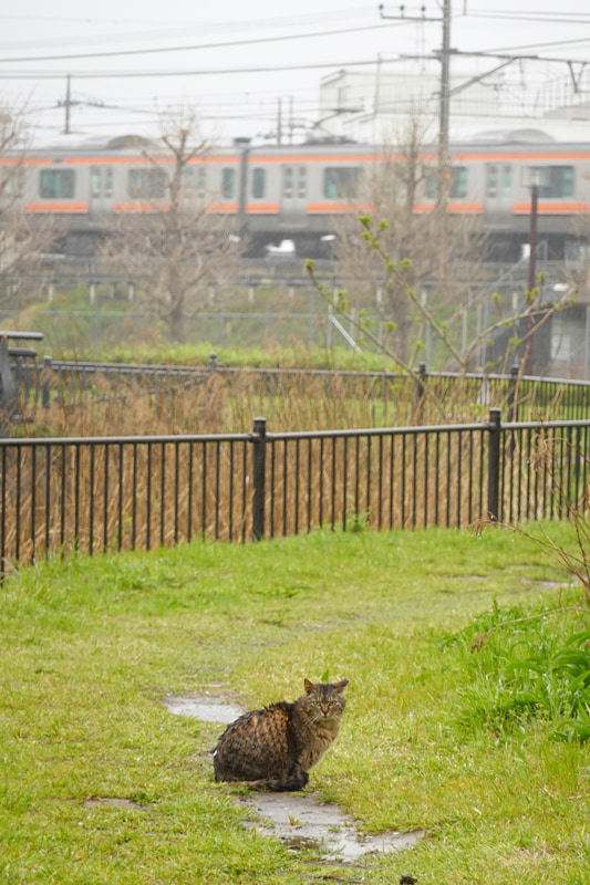 ソニーRX100 VII　ZEISS Vario-Sonnar T* 2.8-4.5/9.0-72（198mm相当）　絞り優先オート（F4.5、1/100秒）　ISO 400　WB:オート