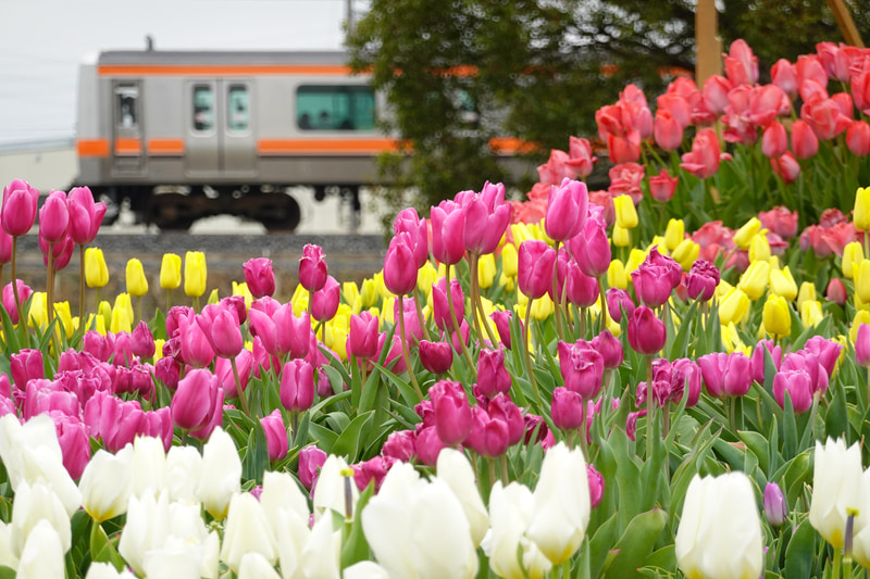 ソニーRX100 VII　ZEISS Vario-Sonnar T* 2.8-4.5/9.0-72（153 mm）　絞り優先オート（F4.5、1/800秒）　ISO 400　WB:オート