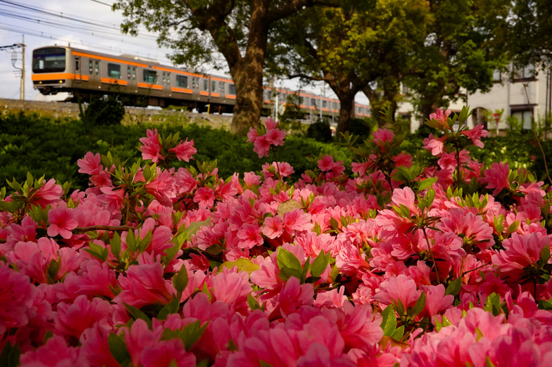 ソニーRX100 VII　ZEISS Vario-Sonnar T* 2.8-4.5/9.0-72（46mm相当）　絞り優先オート（F8、1/2 000秒）　ISO 1250　WB:曇天