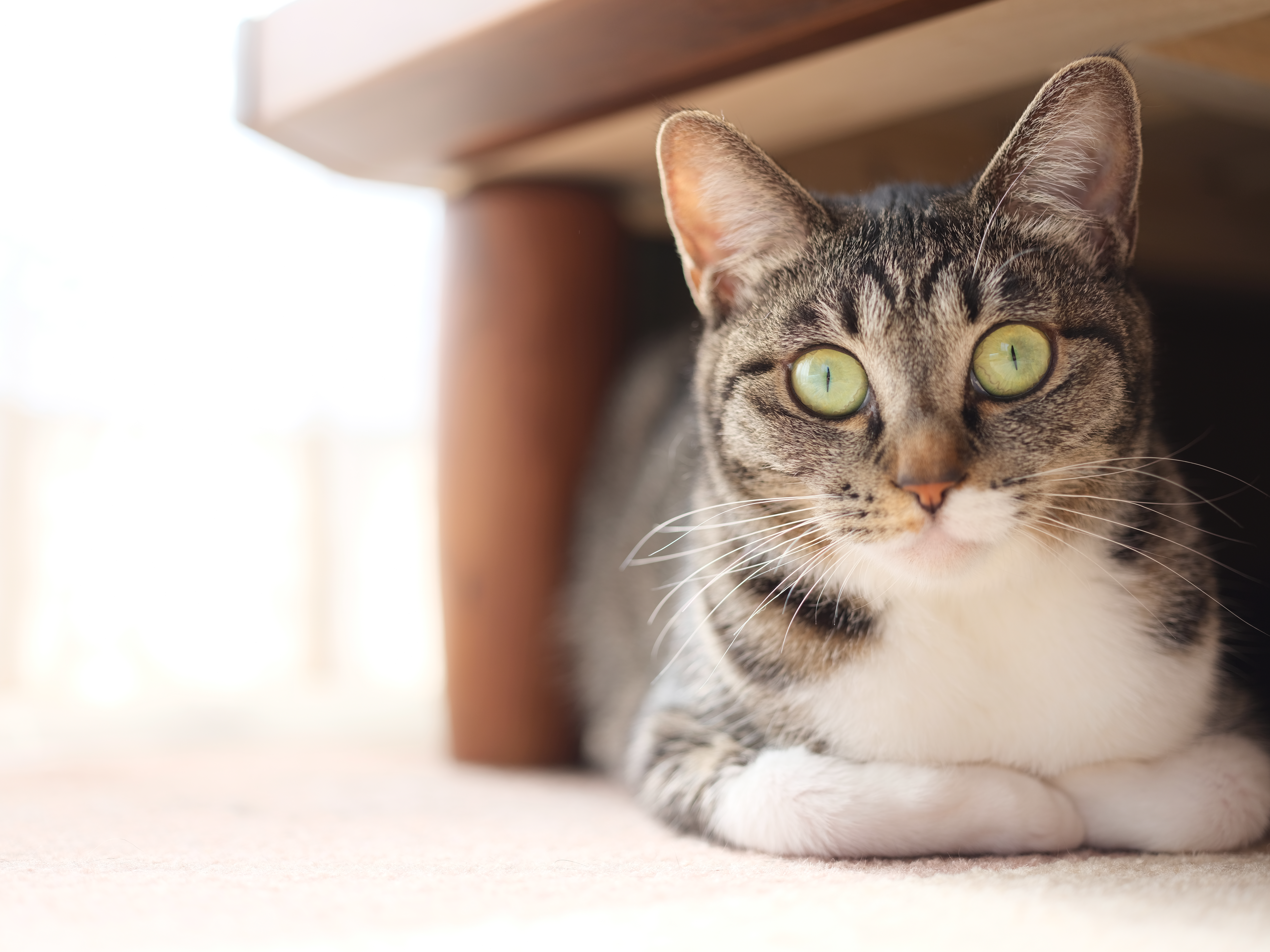 PROVIA<br><span class="fnt-85">撮影データ：ETERNAと同様</span>