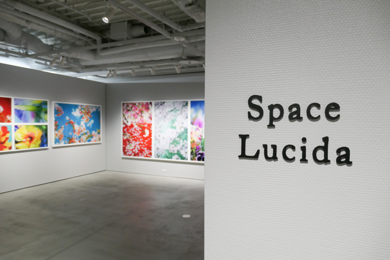 壁をスライドさせ、様々な用途に応用できるようにした。