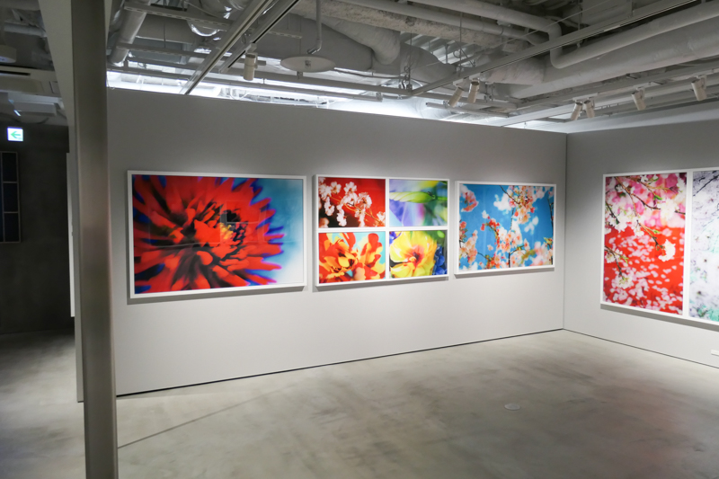 壁をスライドさせ、様々な用途に応用できるようにした。