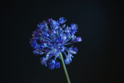 Profoto C1 ライティング機材 01.jpg