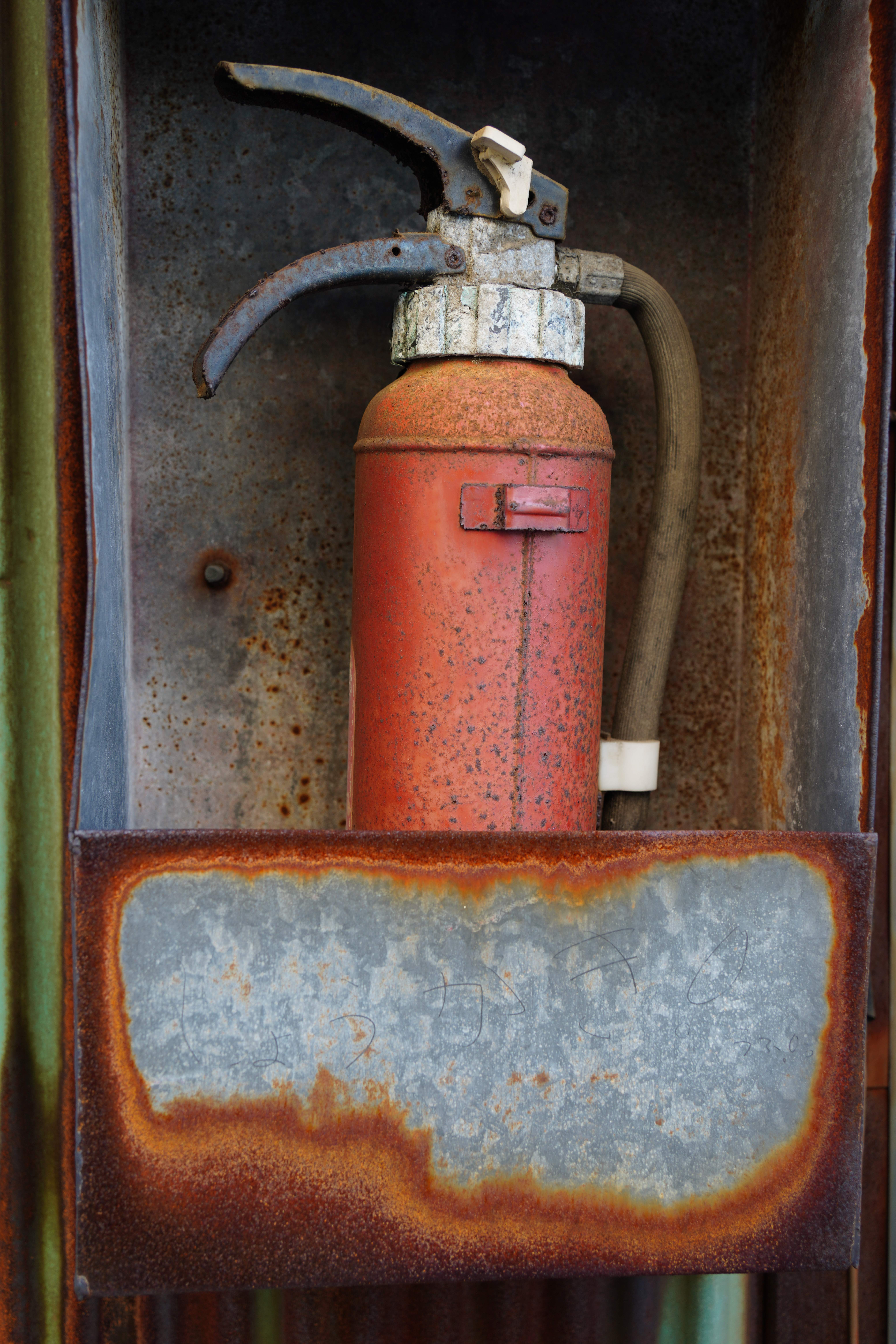 ソニーα7R IV / タムロン28-200mm F/2.8-5.6 Di III RXD（35mm） / 絞り優先AE（F4.5・1/45秒・±0EV）/ ISO 125