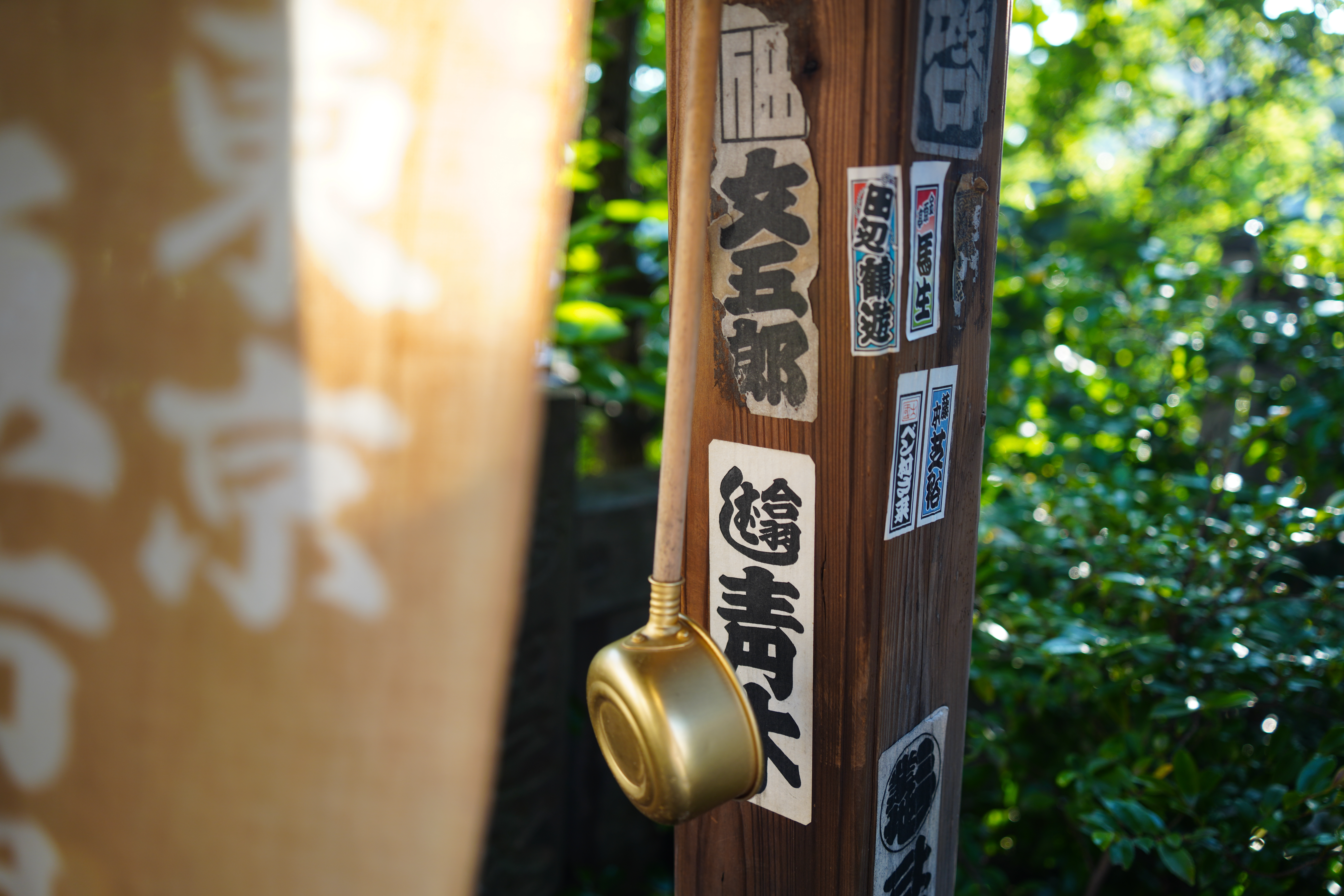 ソニーα7R IV / タムロン28-200mm F/2.8-5.6 Di III RXD（28mm） / 絞り優先AE（F2.8・1/60秒・+0.5EV）/ ISO 100