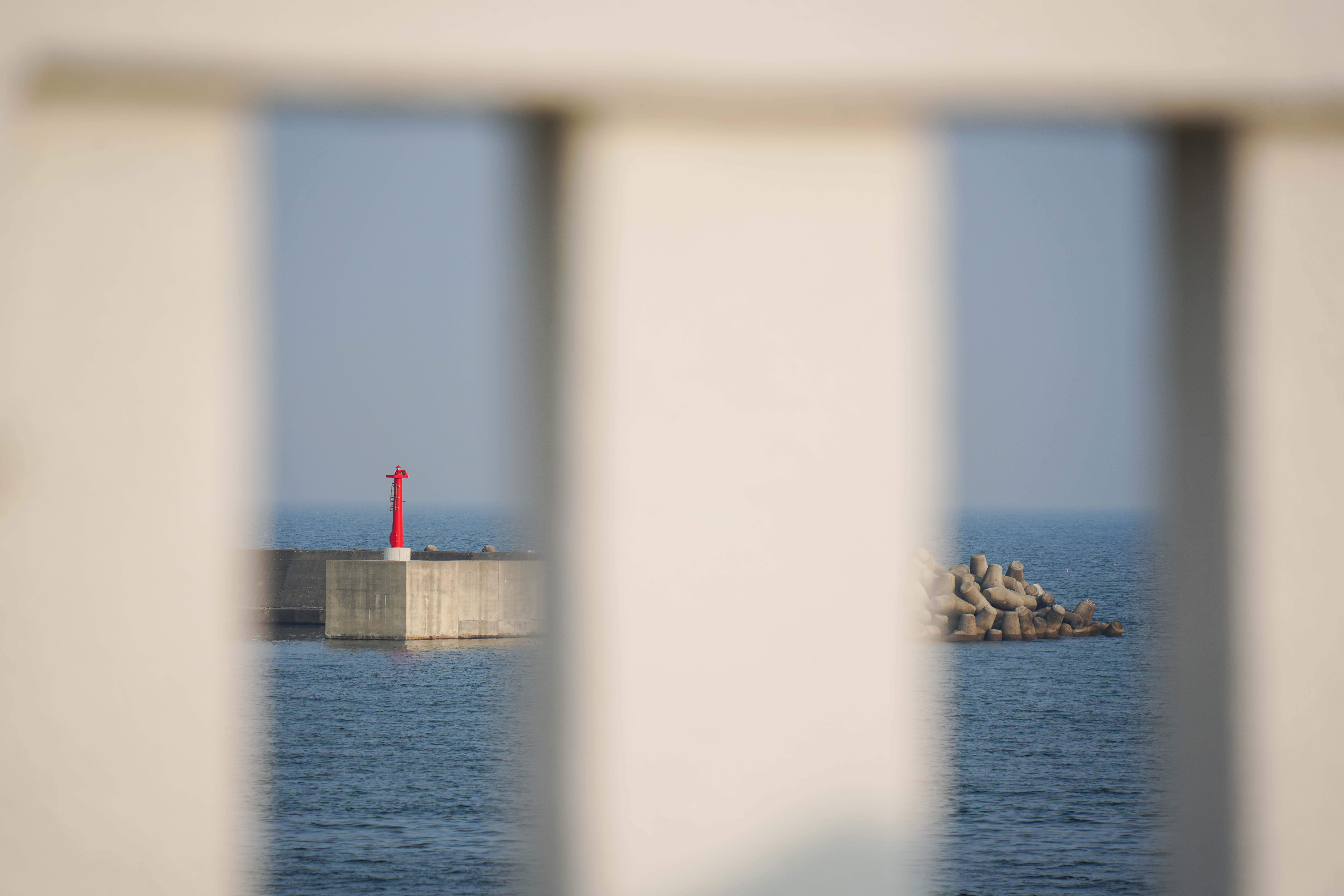 ソニーα7R IV / タムロン28-200mm F/2.8-5.6 Di III RXD（200mm） / 絞り優先AE（F5.6・1/750秒・±0EV）/ ISO 100