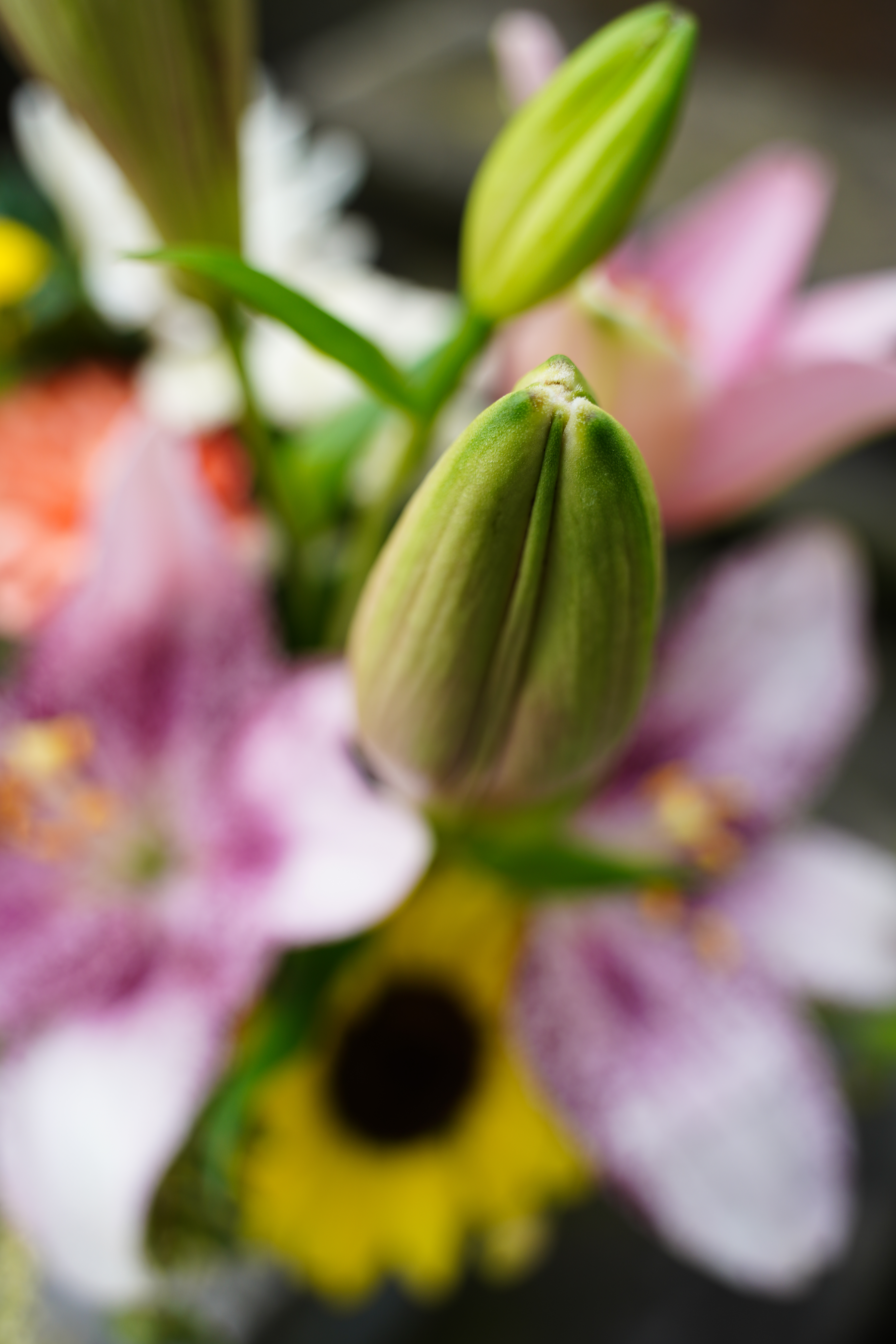 ソニーα7R IV / タムロン28-200mm F/2.8-5.6 Di III RXD（28mm） / 絞り優先AE（F4.5・1/125秒・+0.3EV）/ ISO 100