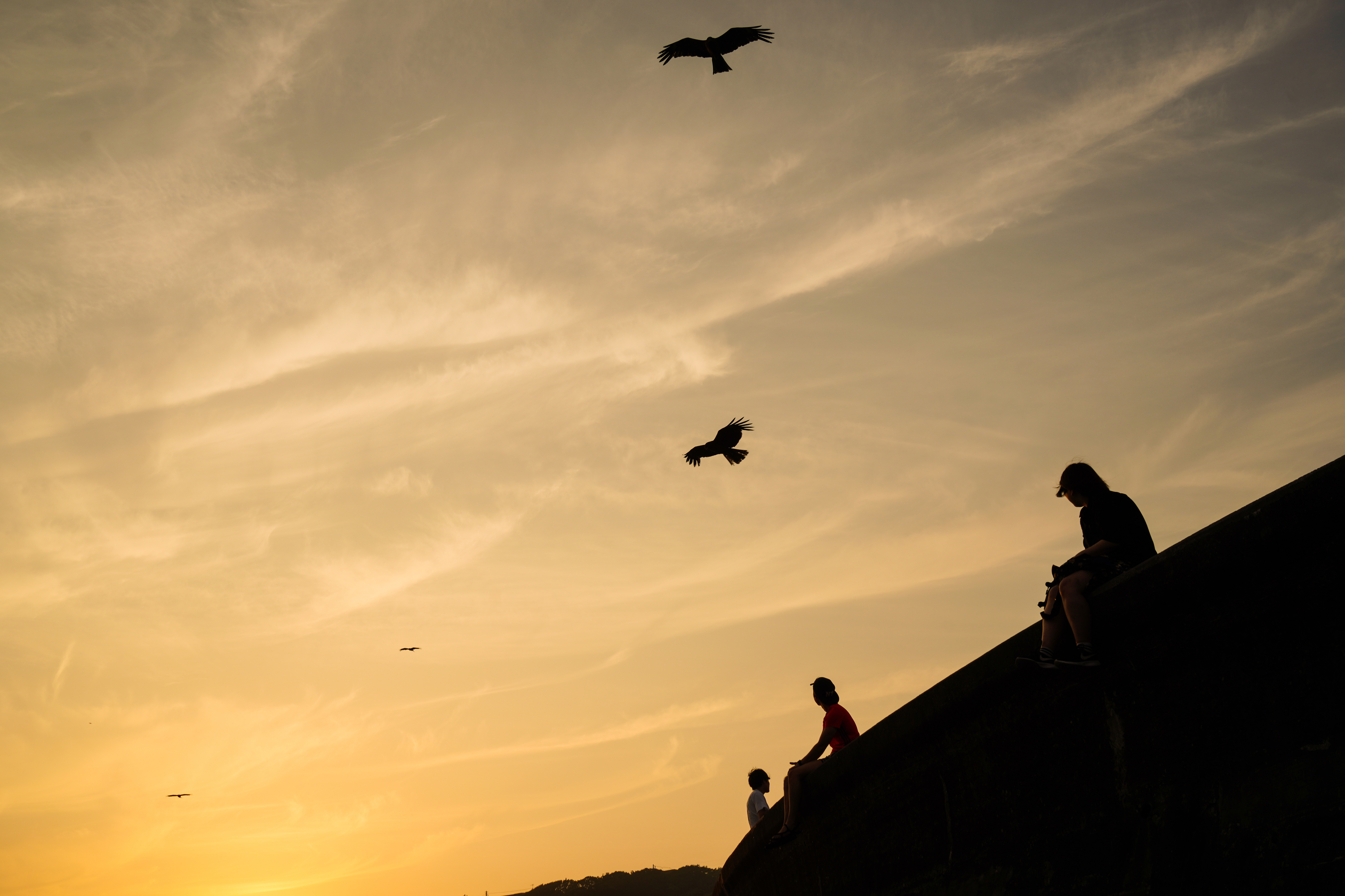 ソニーα7R IV / タムロン28-200mm F/2.8-5.6 Di III RXD（35mm） / 絞り優先AE（F9・1/400秒・-0.3 EV）/ ISO 100