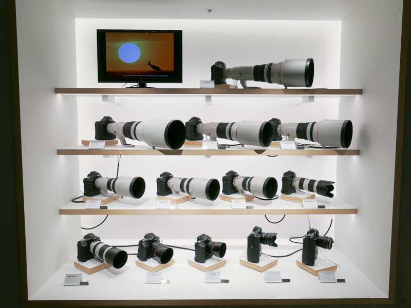 歴代EOS-1Dシリーズが集合。ほとんどに超望遠レンズが装着されているのは壮観だ。