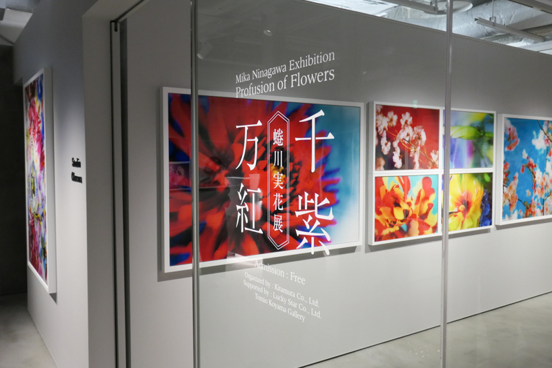 6階イベントスペースでは、オープン記念として「蜷川実花展 ー千紫万紅ー」を8月2日まで開催。