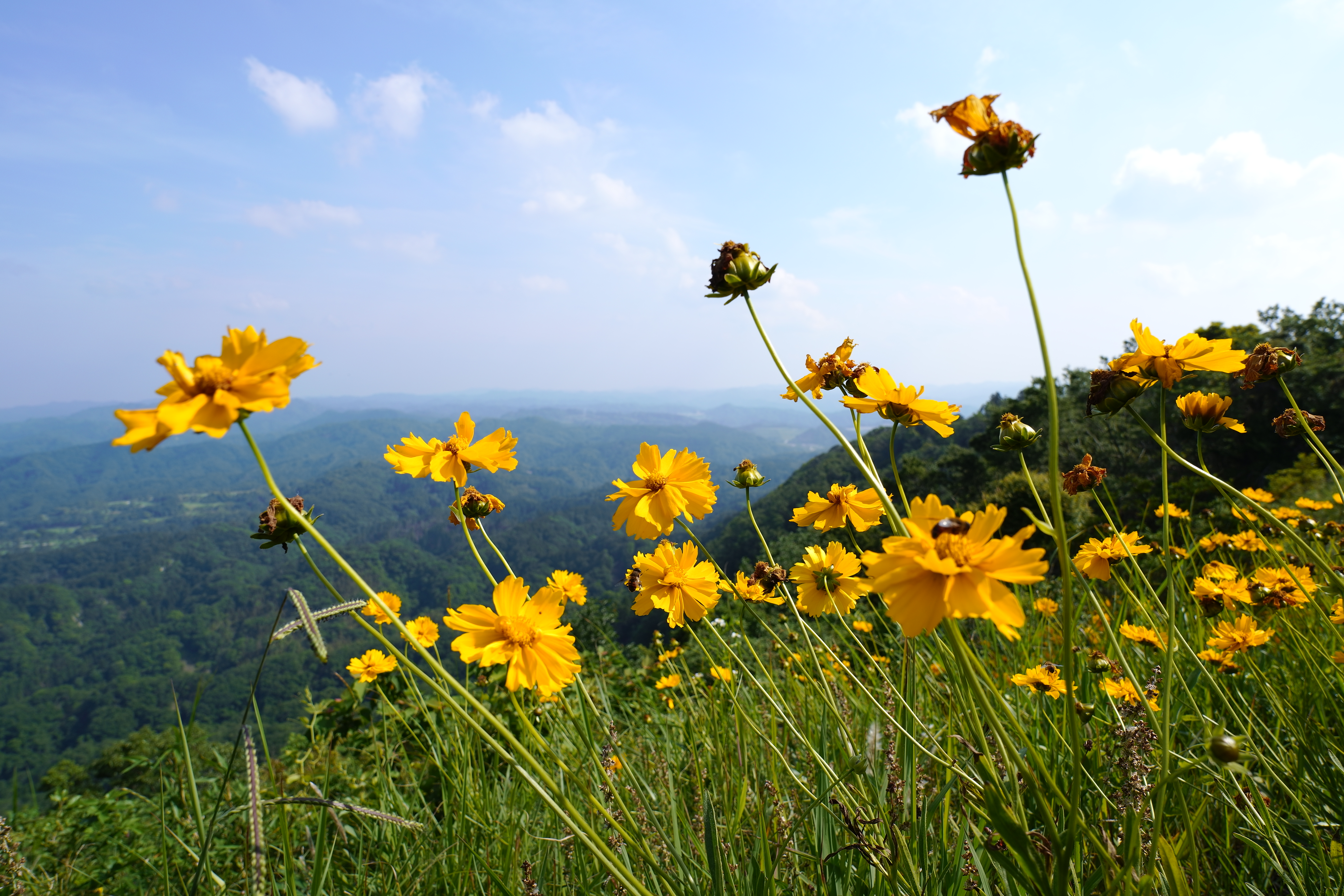 SIGMA fp / LUMIX S 20-60mm F3.5-5.6（20mm） / 絞り優先AE（F9・1_160秒・+1.0EV） / ISO 100
