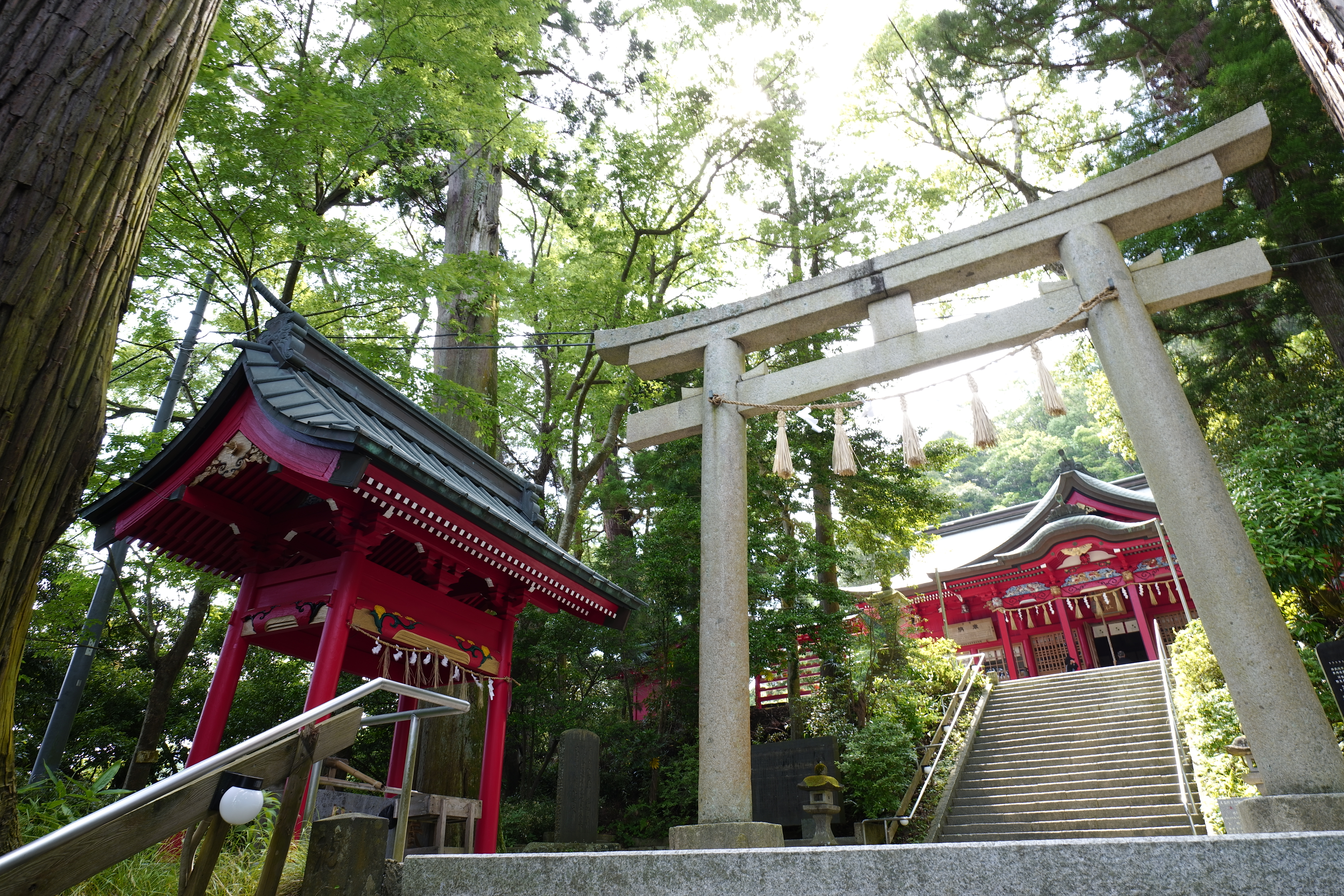 SIGMA fp / LUMIX S 20-60mm F3.5-5.6（20mm） / 絞り優先AE（F8・1/13秒・+0.7EV） / ISO 100