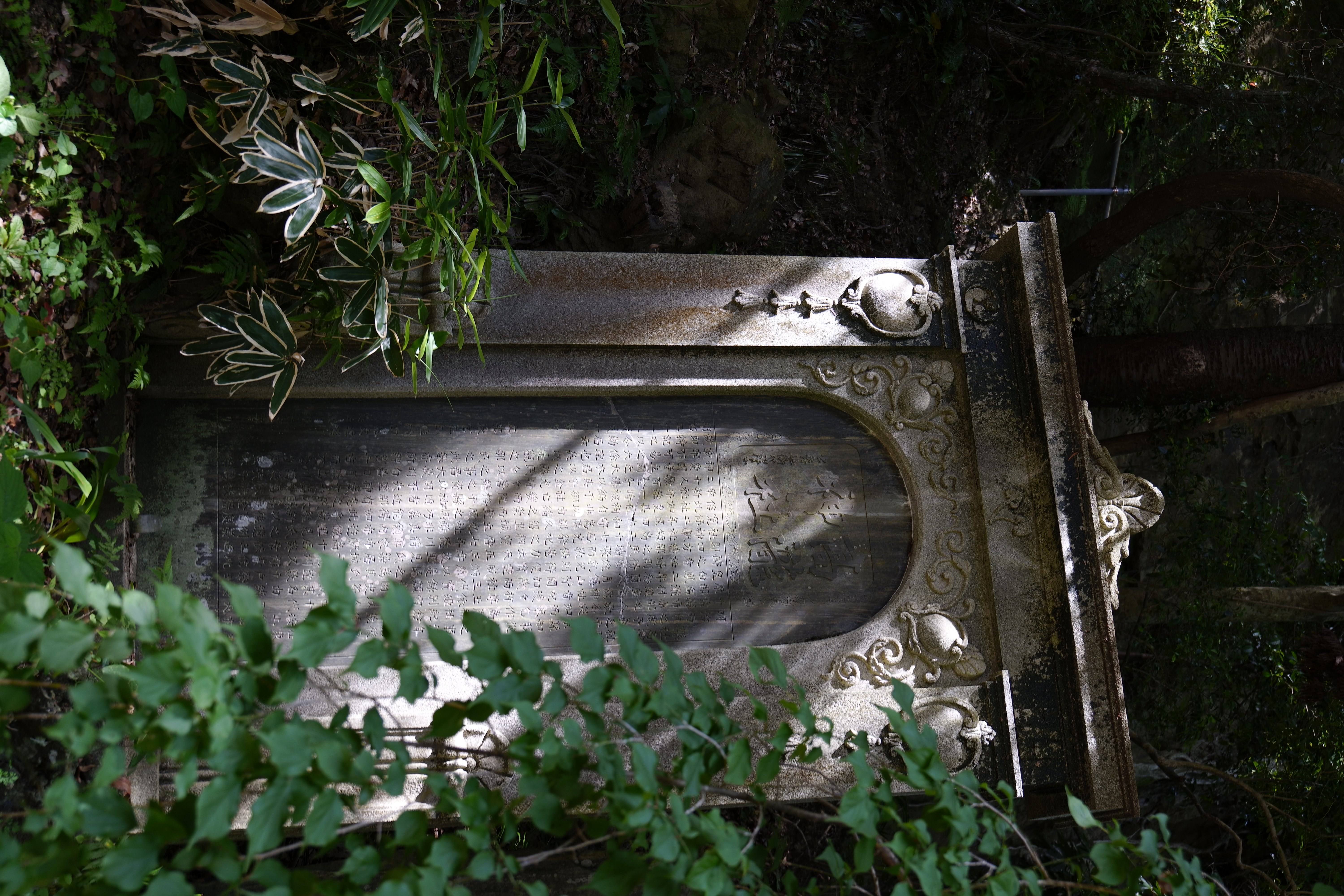 SIGMA fp / LUMIX S 20-60mm F3.5-5.6（43.6mm） / 絞り優先AE（F5.6・1/40秒・-1.0EV） / ISO 100