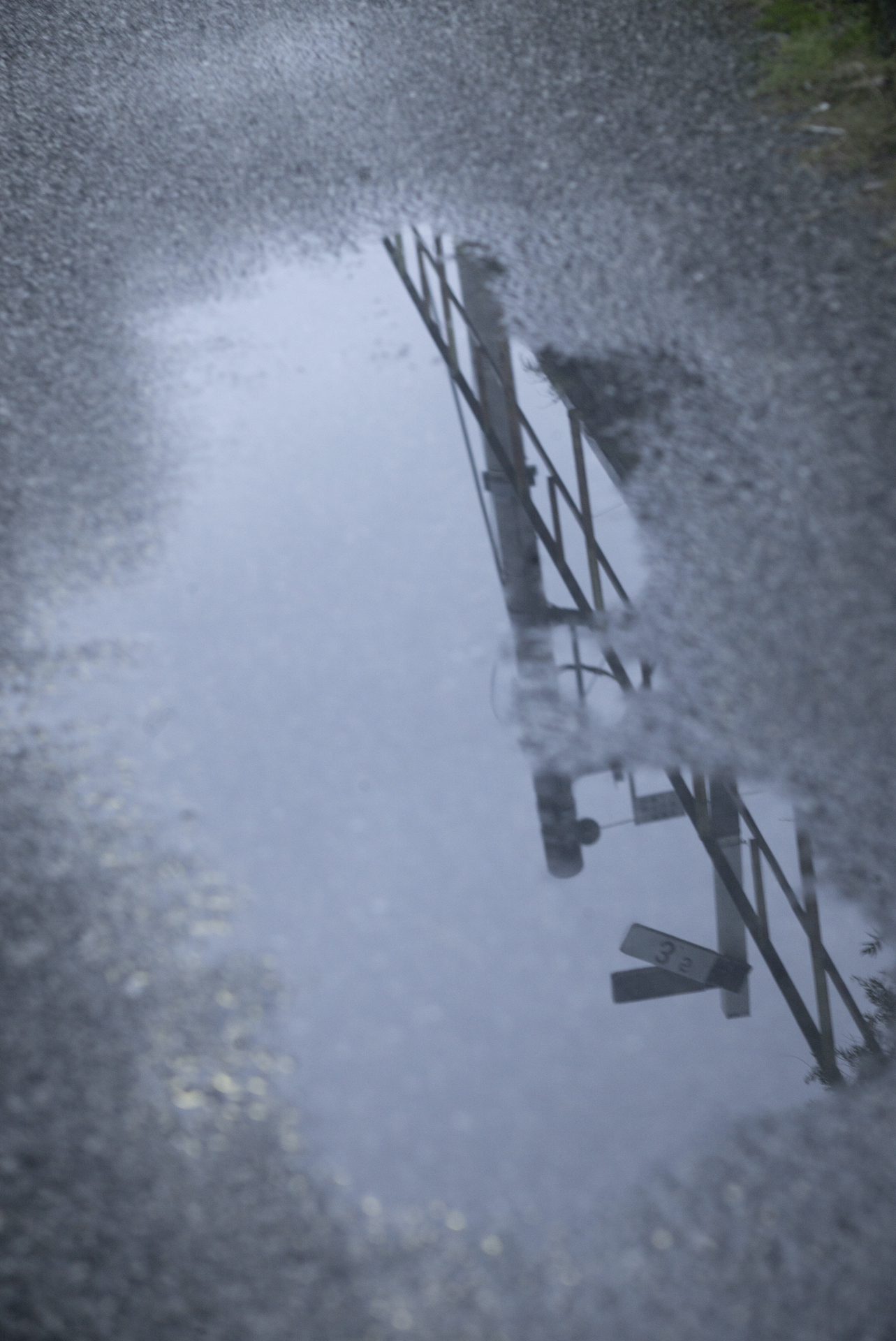 ライカM-P（Typ240）サファリ　Elmar 90mm F4　絞り優先オート（F4.8、1/15秒）　ISO 1600　WB:太陽光