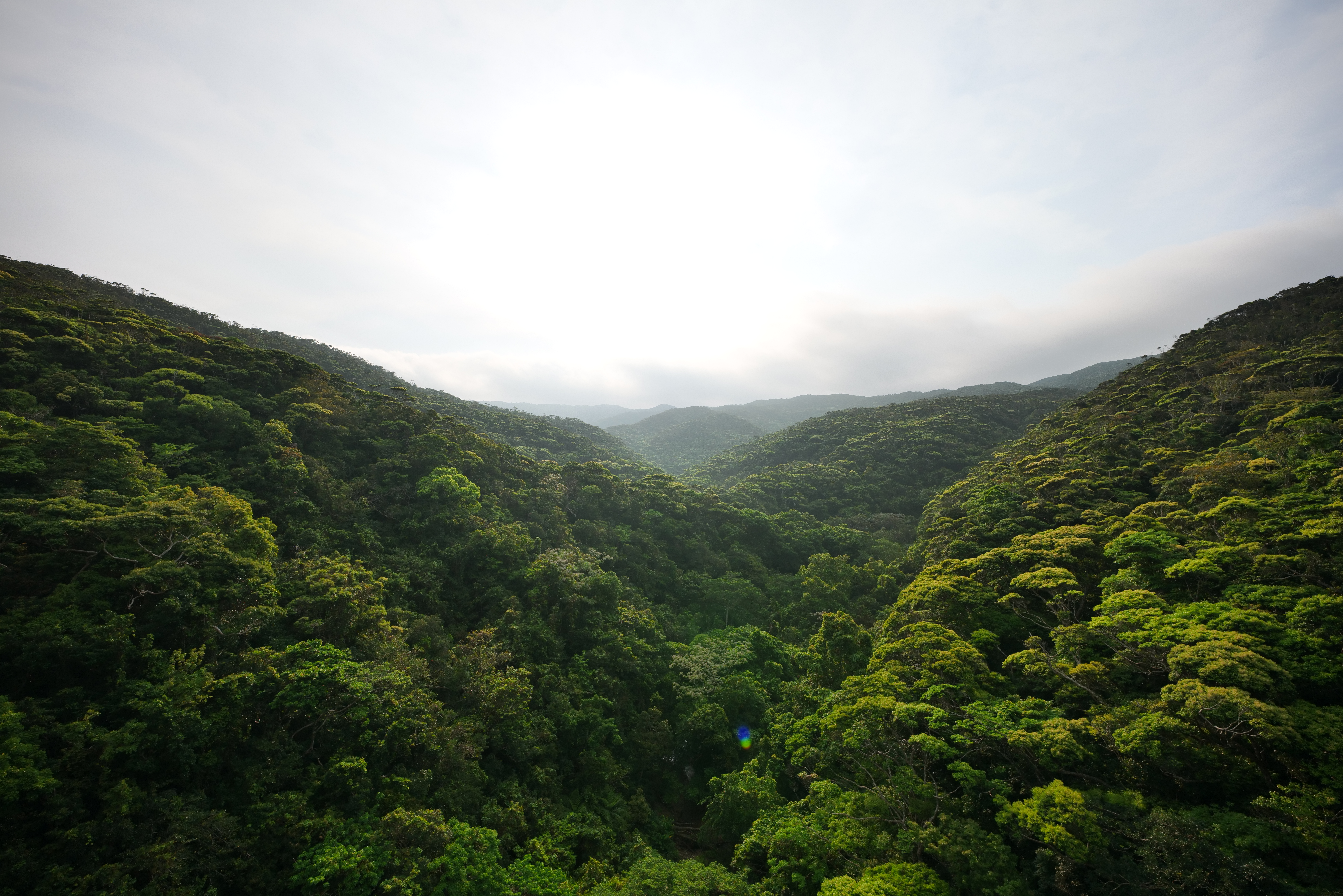 Panasonic LUMIX S1R / SIGMA 14-24mm F2.8 DG DN｜Art（14mm） / マニュアル露出（F5.6・1/1,600秒） / ISO 500
