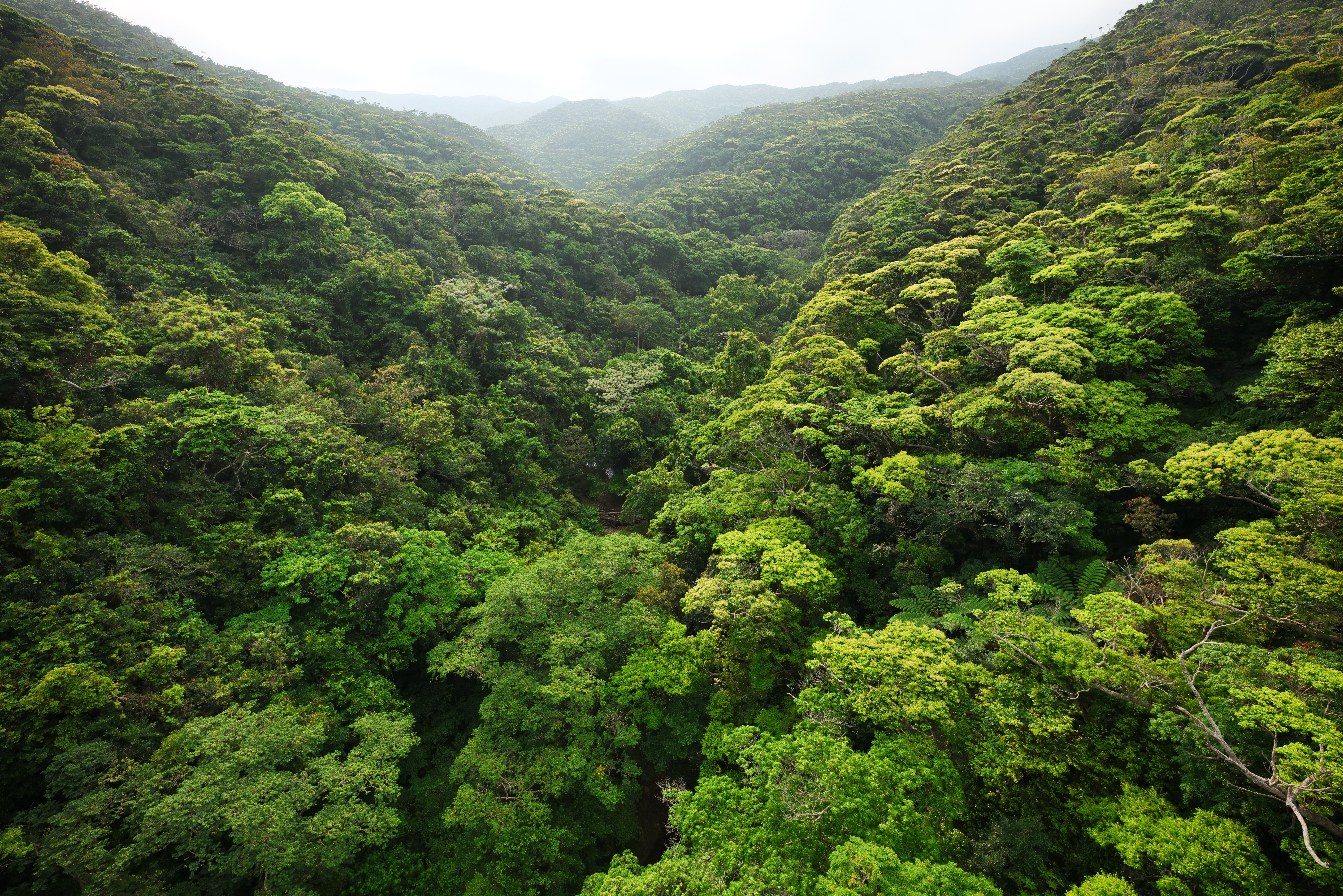 F5<br>1/500秒 / ISO 500