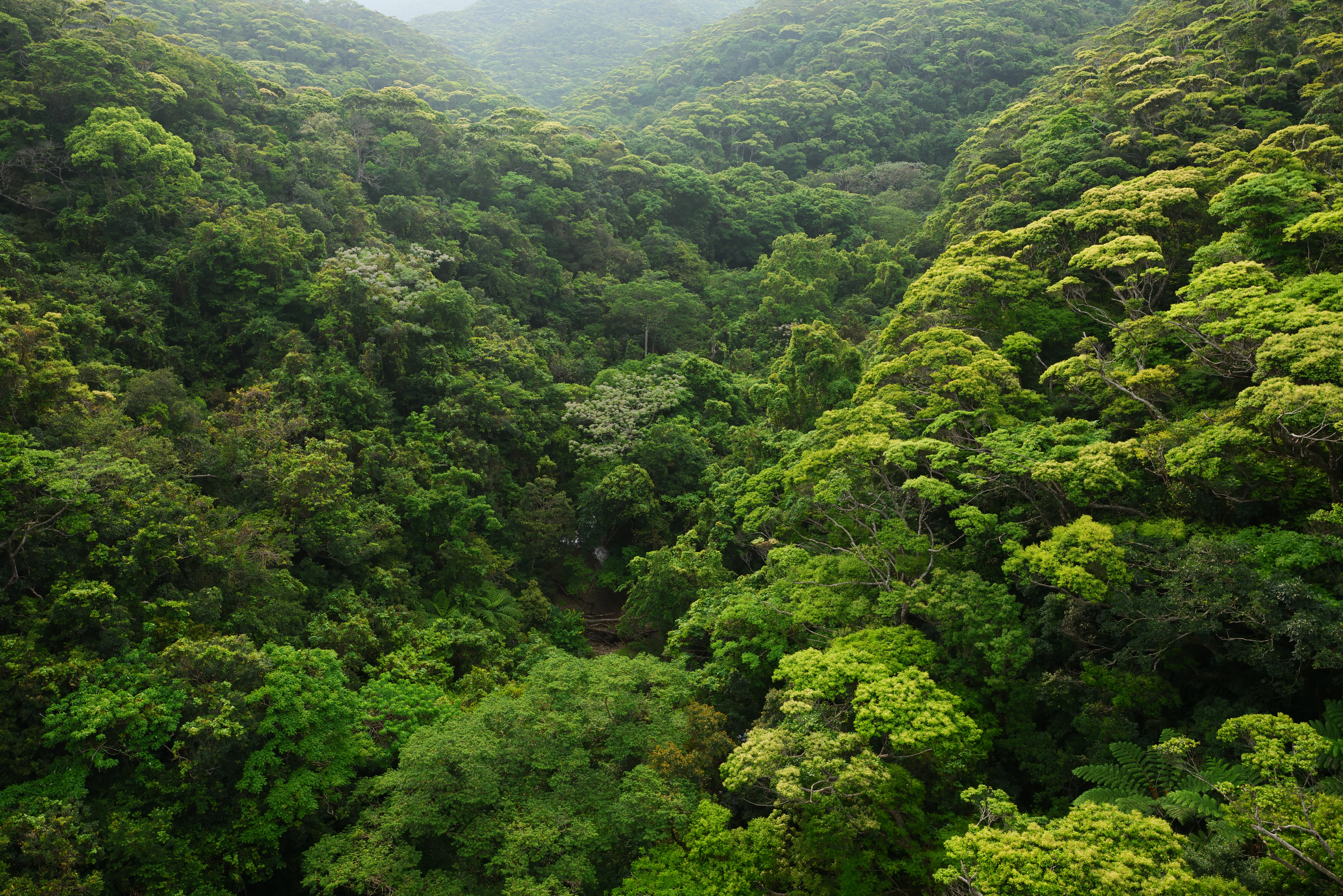 F5<br>1/400秒 / ISO 500