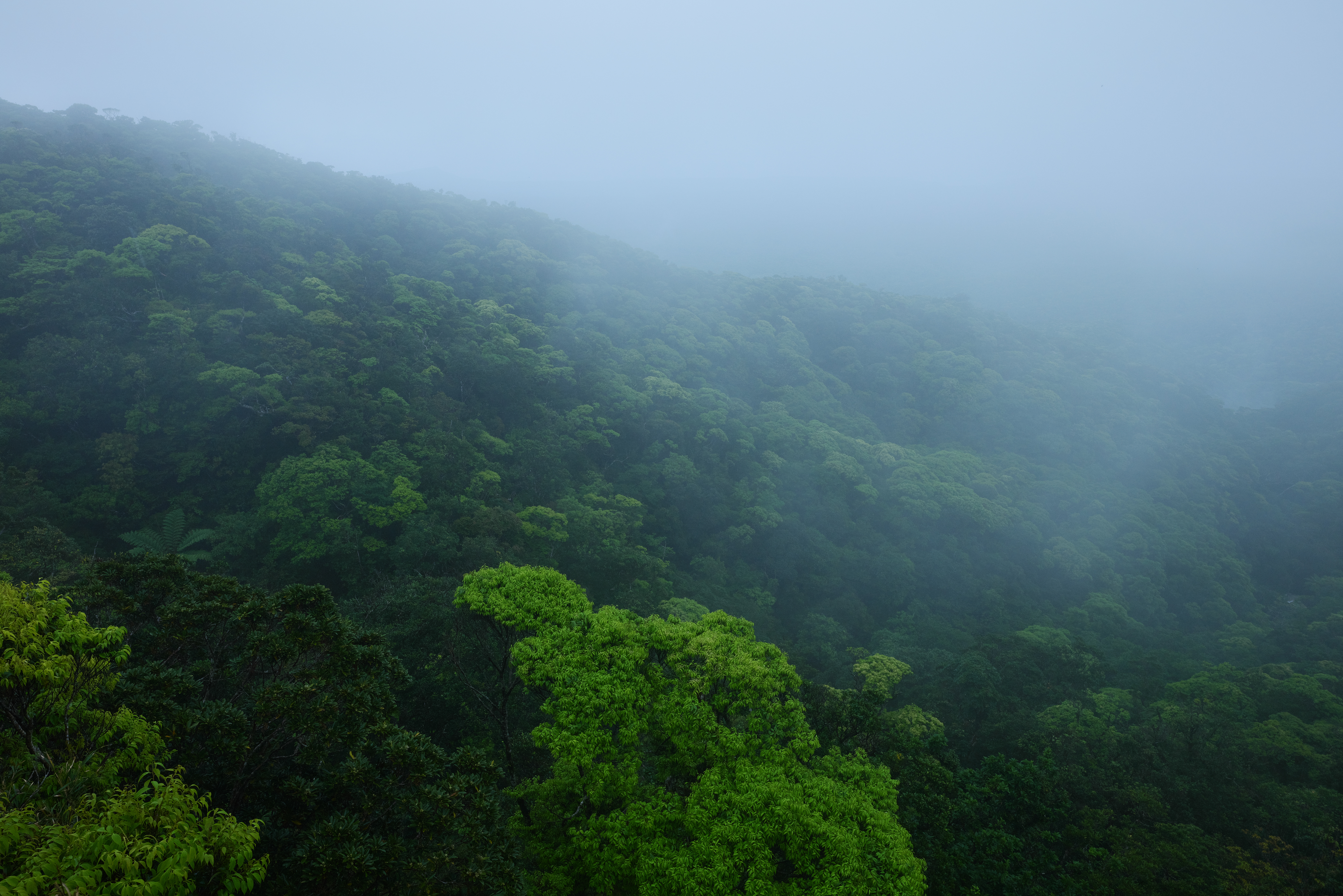 Panasonic LUMIX S1R / SIGMA 14-24mm F2.8 DG DN｜Art（22mm） / マニュアル露出（F9・1/320秒） / ISO 640 / 手持ち