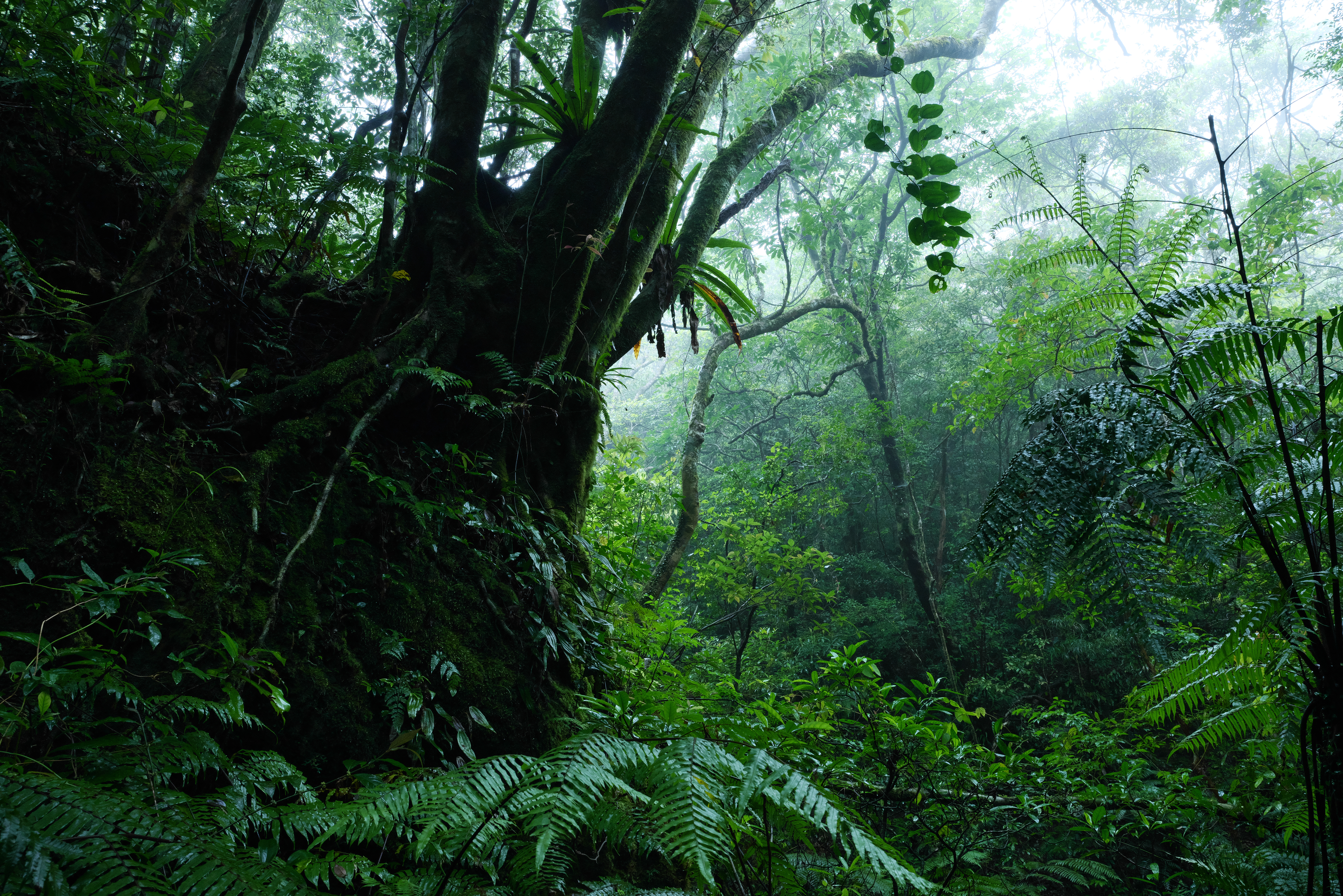 Panasonic LUMIX S1R / SIGMA 14-24mm F2.8 DG DN｜Art（24mm） / マニュアル露出（F13・1/8秒） / ISO 2000 / 手持ち