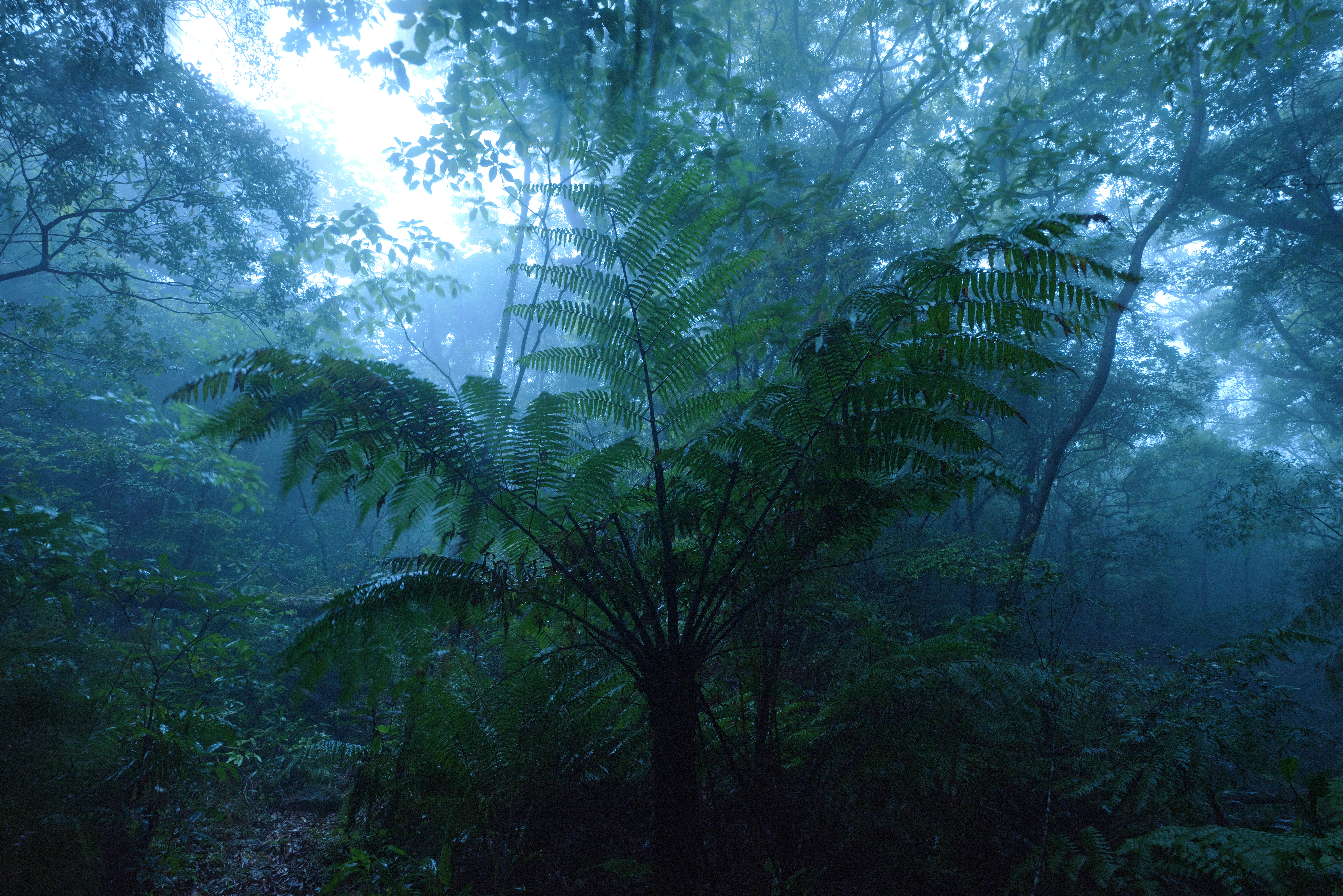 Panasonic LUMIX S1R / SIGMA 14-24mm F2.8 DG DN｜Art（18mm） / マニュアル露出（F11・8秒） / ISO 1250 / 三脚使用