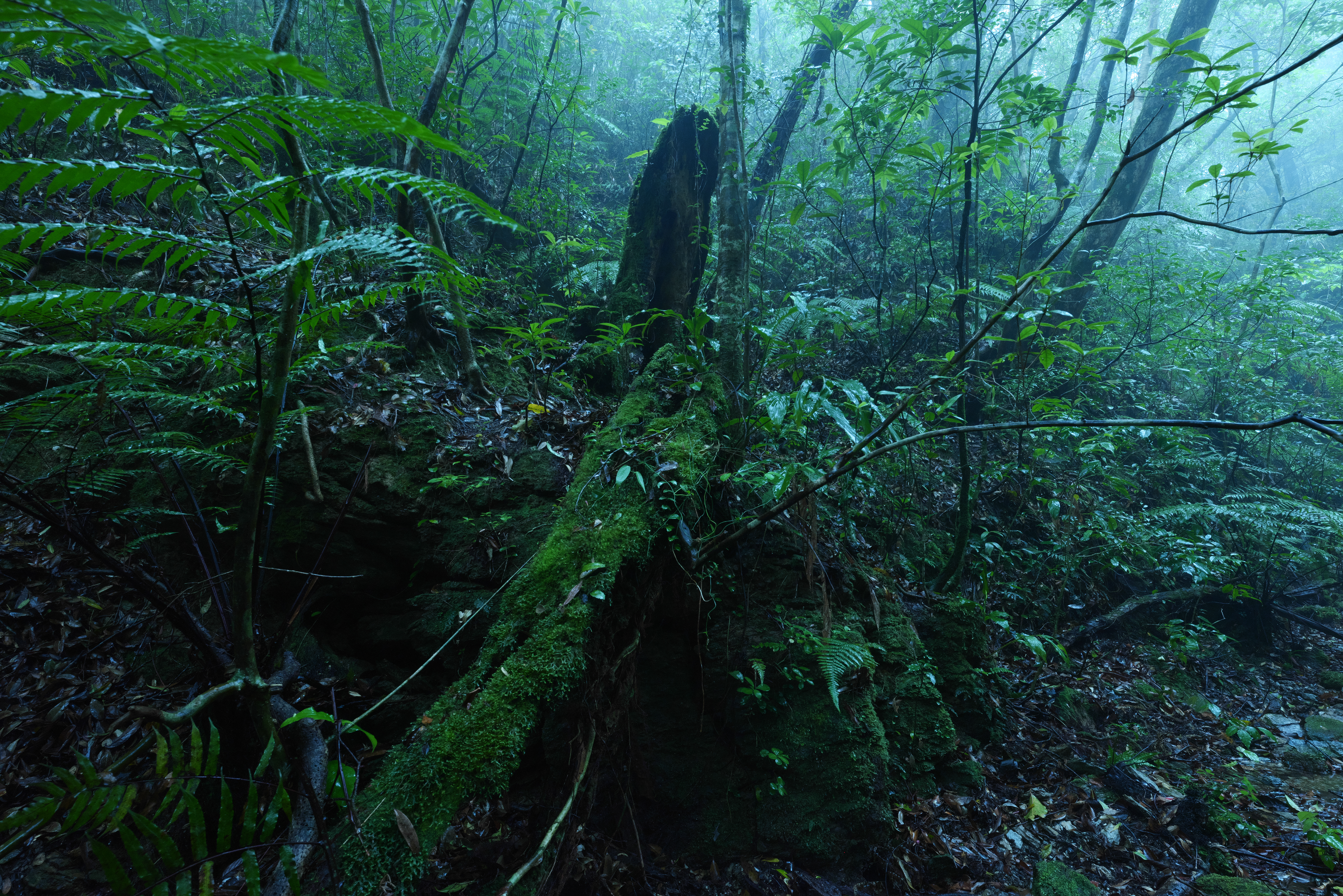 Panasonic LUMIX S1R / SIGMA 14-24mm F2.8 DG DN｜Art（17mm） / マニュアル露出（F11・10秒） / ISO 2000 / 三脚使用