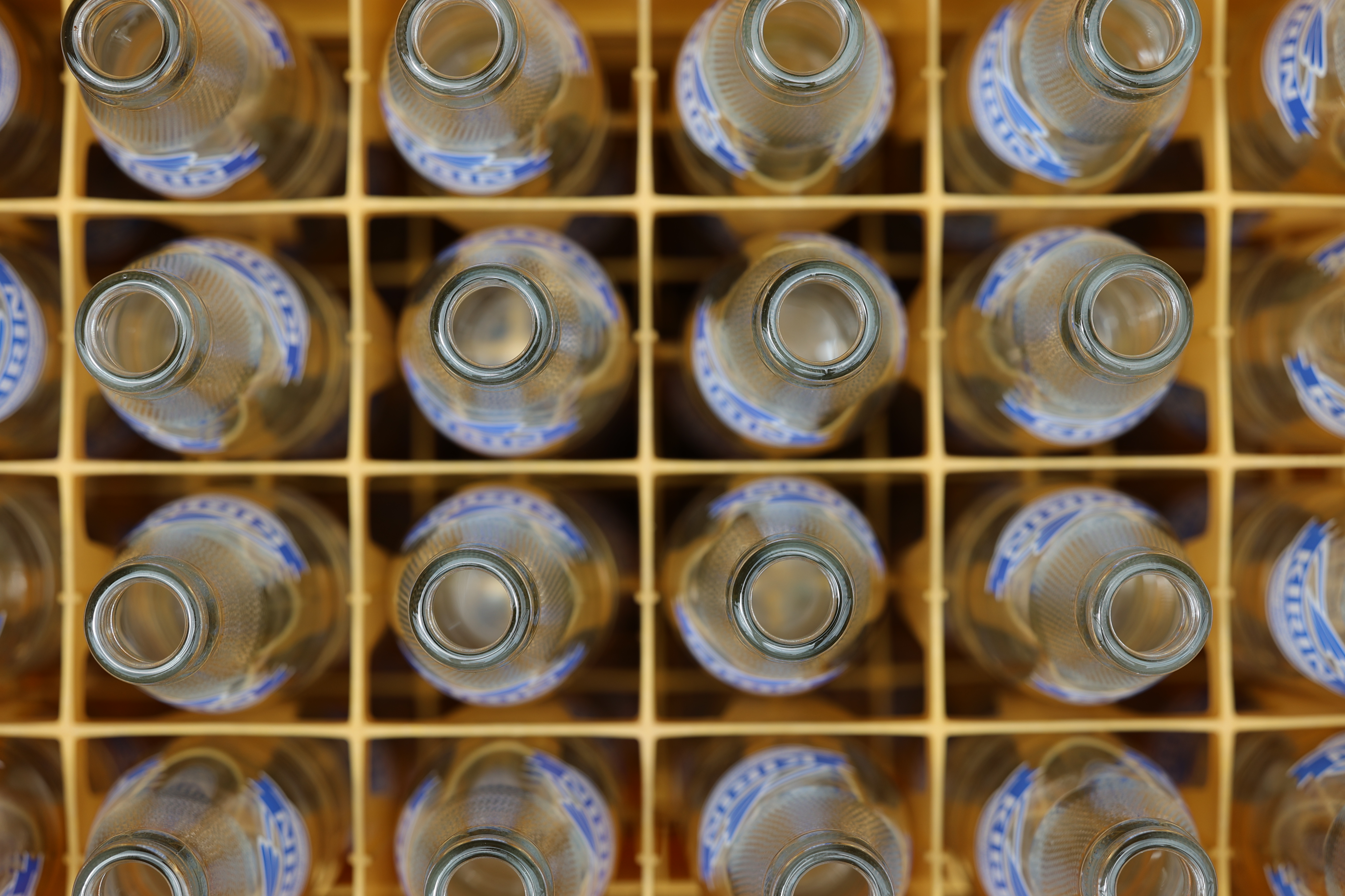 EOS R6 / RF70-200mm F2.8 L IS USM（100mm） / プログラムAE（F5.0・1/320秒・-0.7EV） / ISO 100