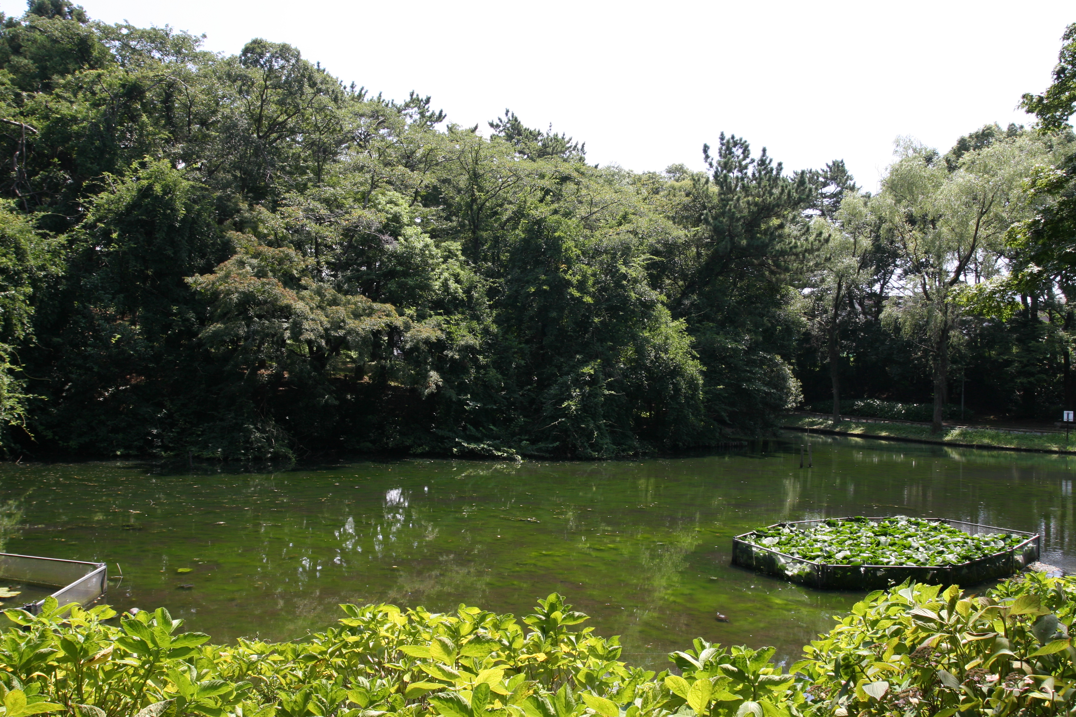 EOS 30Dで撮影。今の基準で見てしまうと、820万画素はさすがに解像度が足りない。