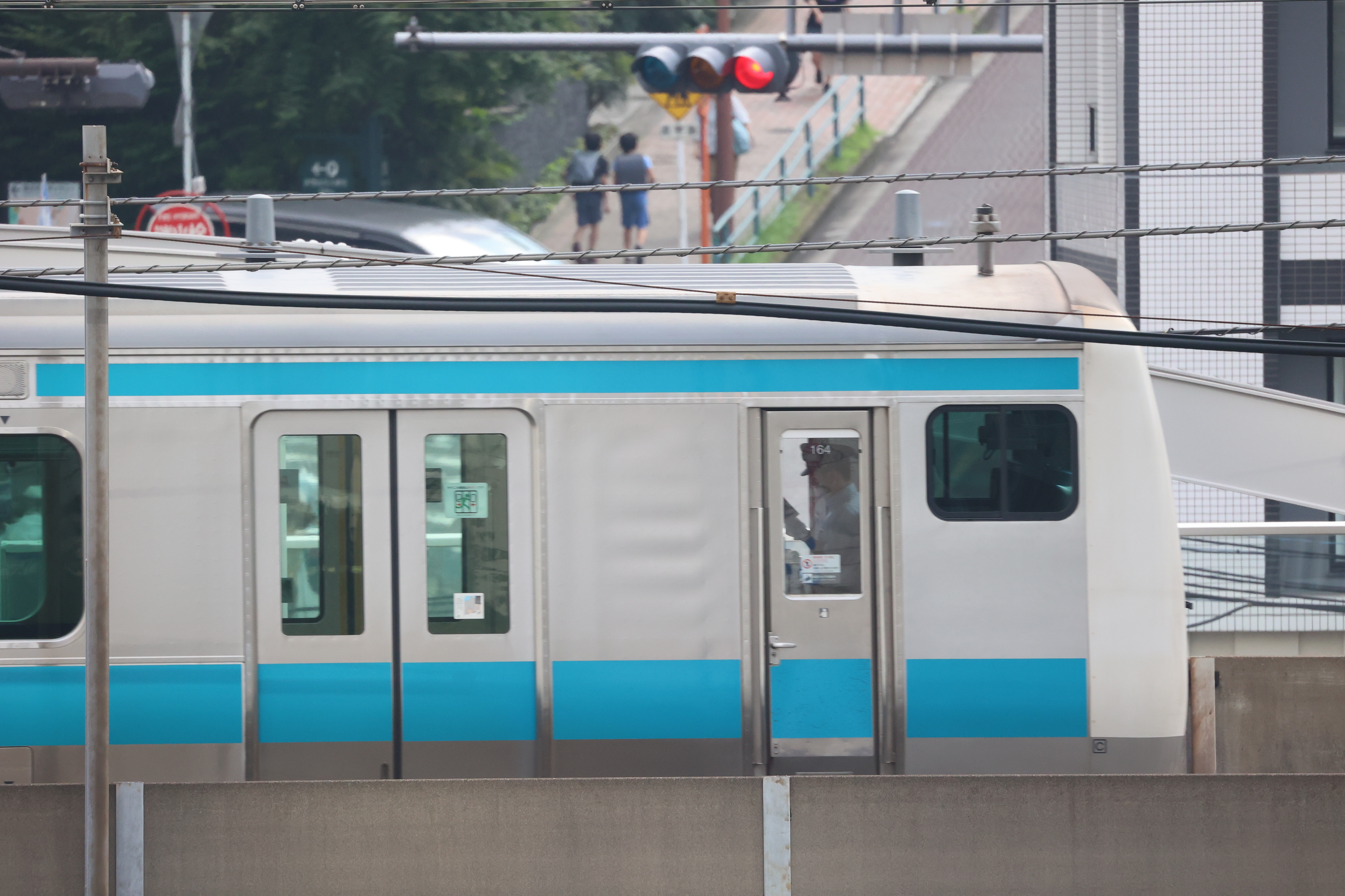 メカシャッター<br><span class="fnt-85">EOS R6 / RF800mm F11 IS STM / シャッター優先AE（1/1,000秒・F11・±0EV） / ISO 3200</span>