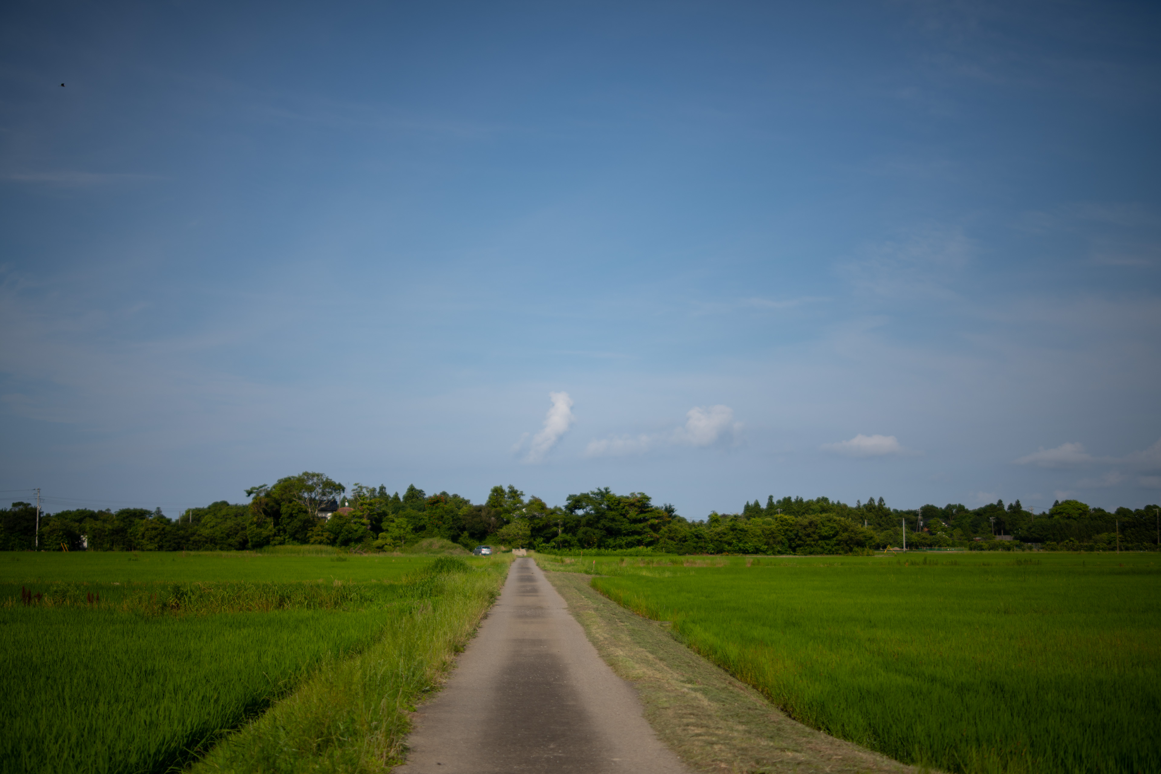 F1.4<br><span class="fnt-85">Nikon D850 / Irix Dragonfly 45mm F1.4 / 絞り優先AE（F1.4・１/6,400秒・-0.3EV） / ISO 40 / WB：AUTO</span>