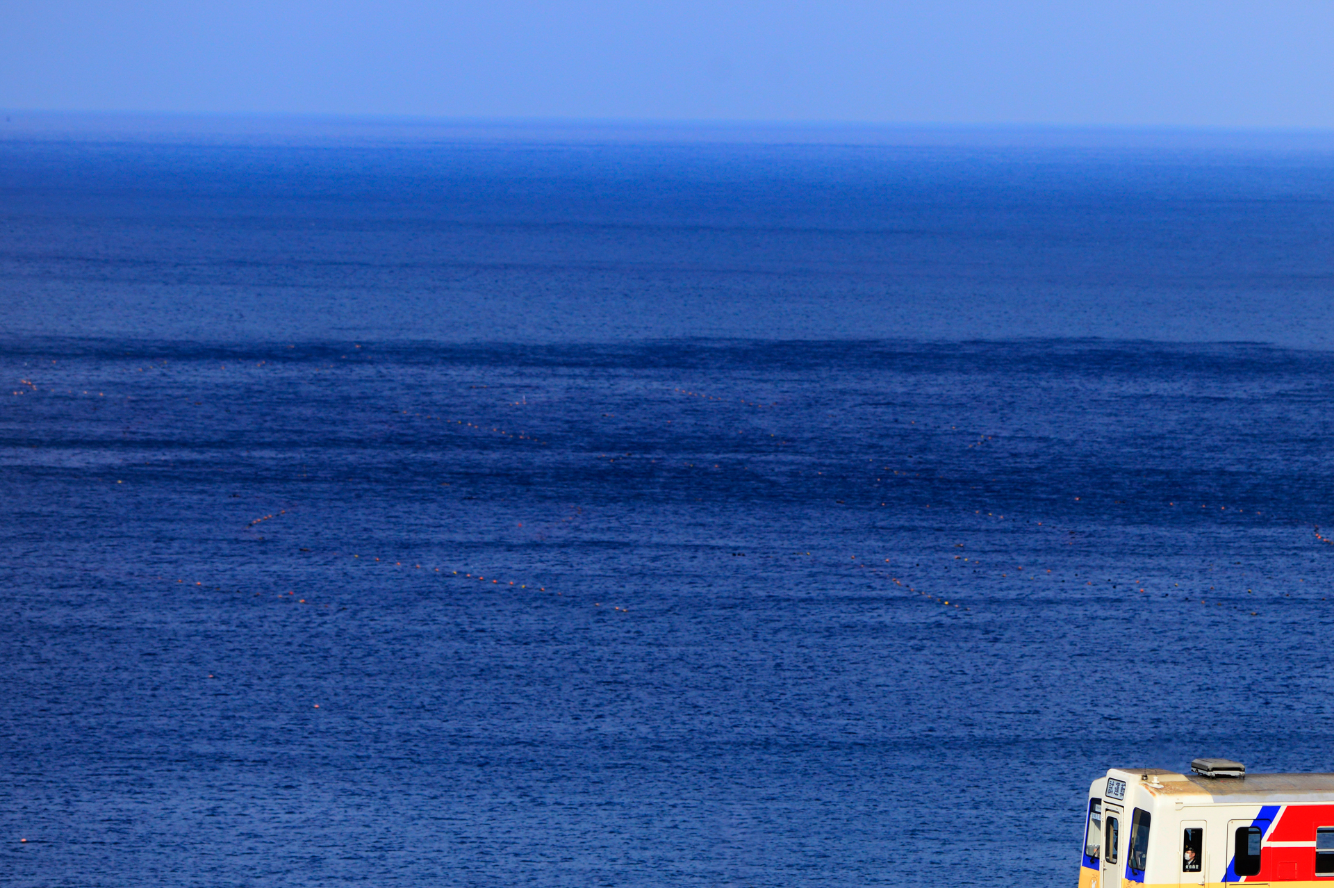 ニコンD800　AF NIKKOR 300mm F2.8 ED（300mm）　絞り優先オート（F5.6、1/1600秒）　ISO400　WB:晴天