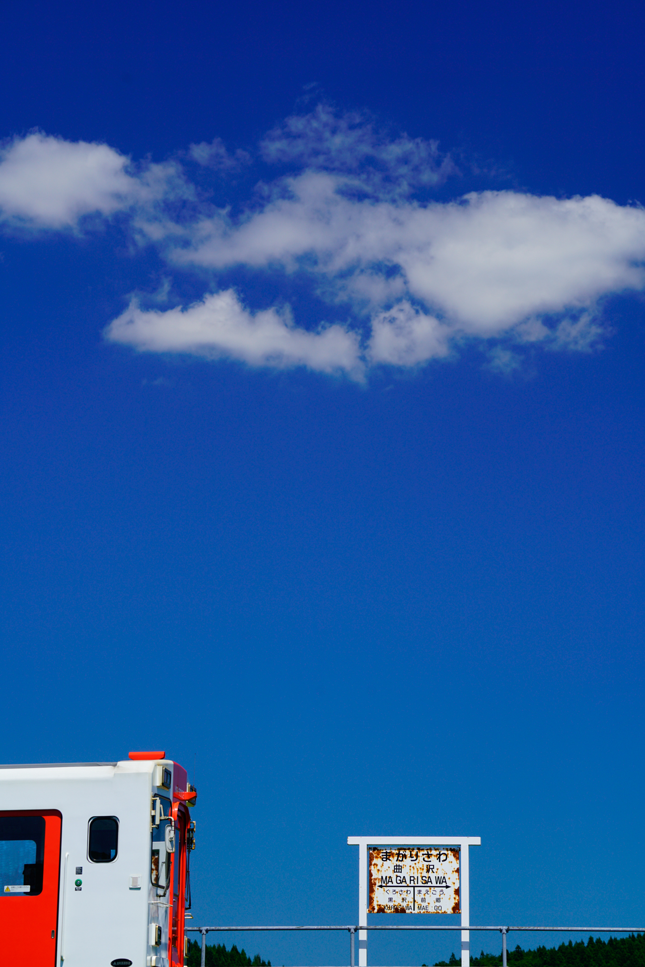 ソニーα7R II　FE 70-300mm F4.5-5.6 G OSS（117mm）　絞り優先オート（F8、1/320秒）　ISO200　WB:太陽光