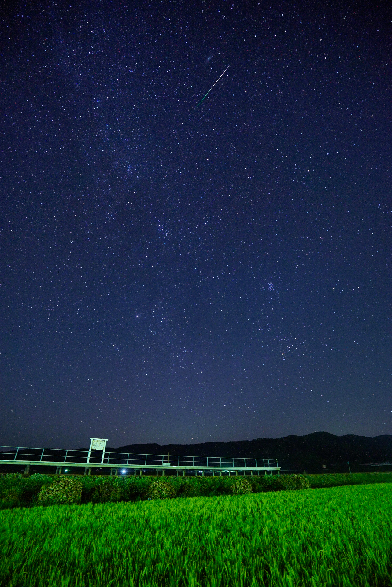 ソニーα7R II　FE 16-35mm F4 ZA　OSS（16mm）　マニュアル露出（F4、1/30秒）　ISO 1600　WB:太陽光