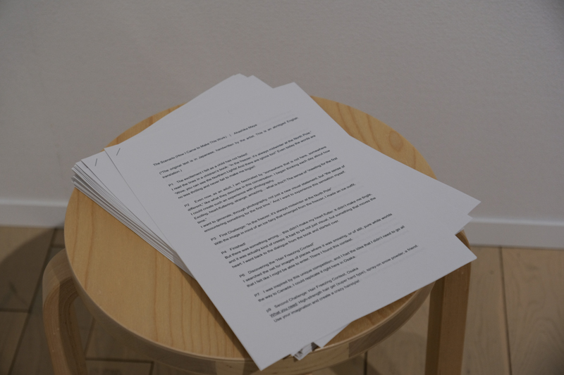 展示内容について自己言及しているシナリオノート（How I Came to Make This Work）も展示室の一角に