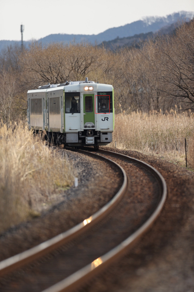 夏休み⭐︎Canon EOS-1Ds Mark III トランスミッター 付！ EOS Kiss キヤノン デジタル一眼 CANON X7i EF-S18-135 IS STM レンズ