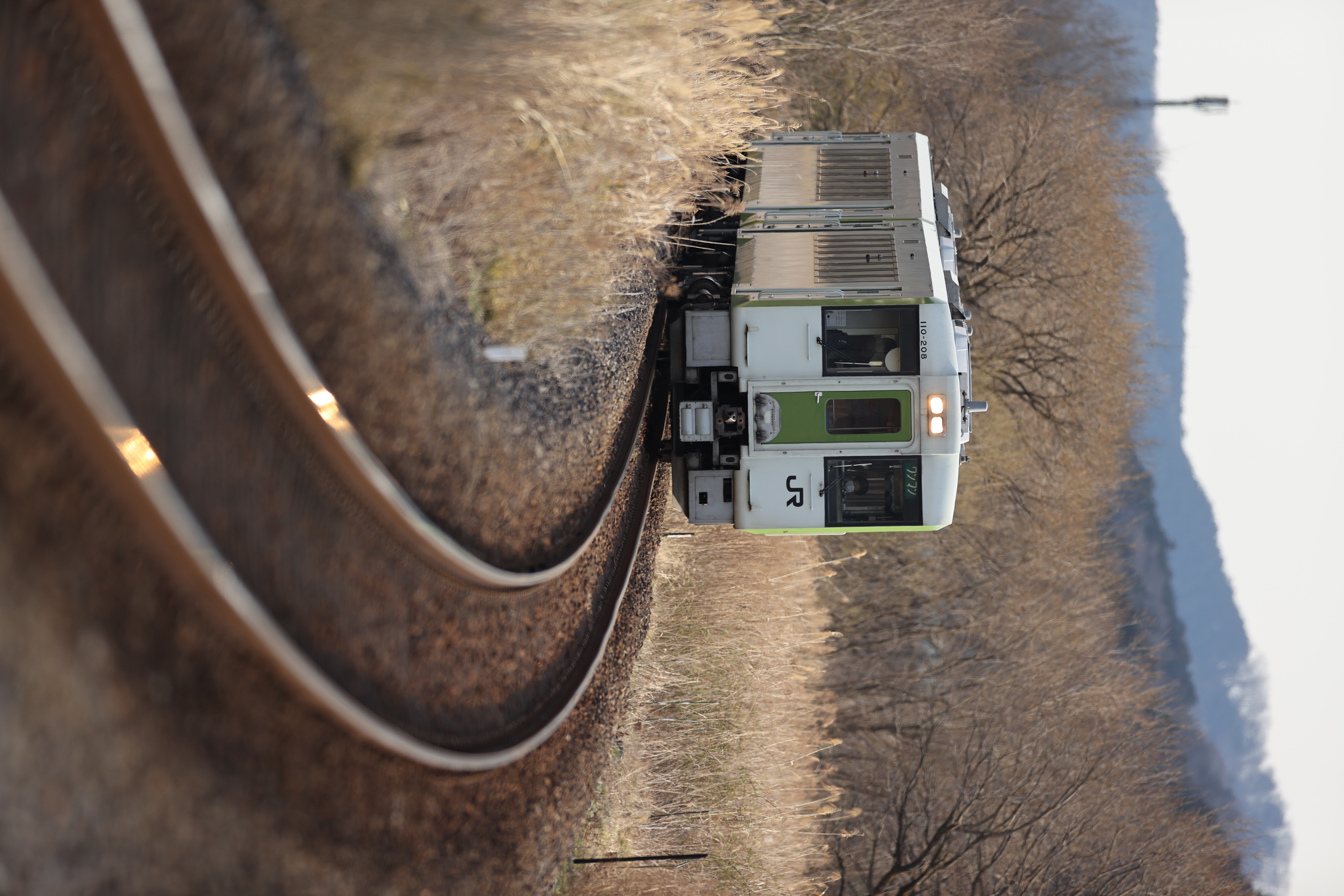 <span class="fnt-85">EOS-1D X Mark II＋EF400mm F2.8L IS III USM / シャッター優先AE（F3.2・1/1,600秒・±0EV） / ISO 200</span>