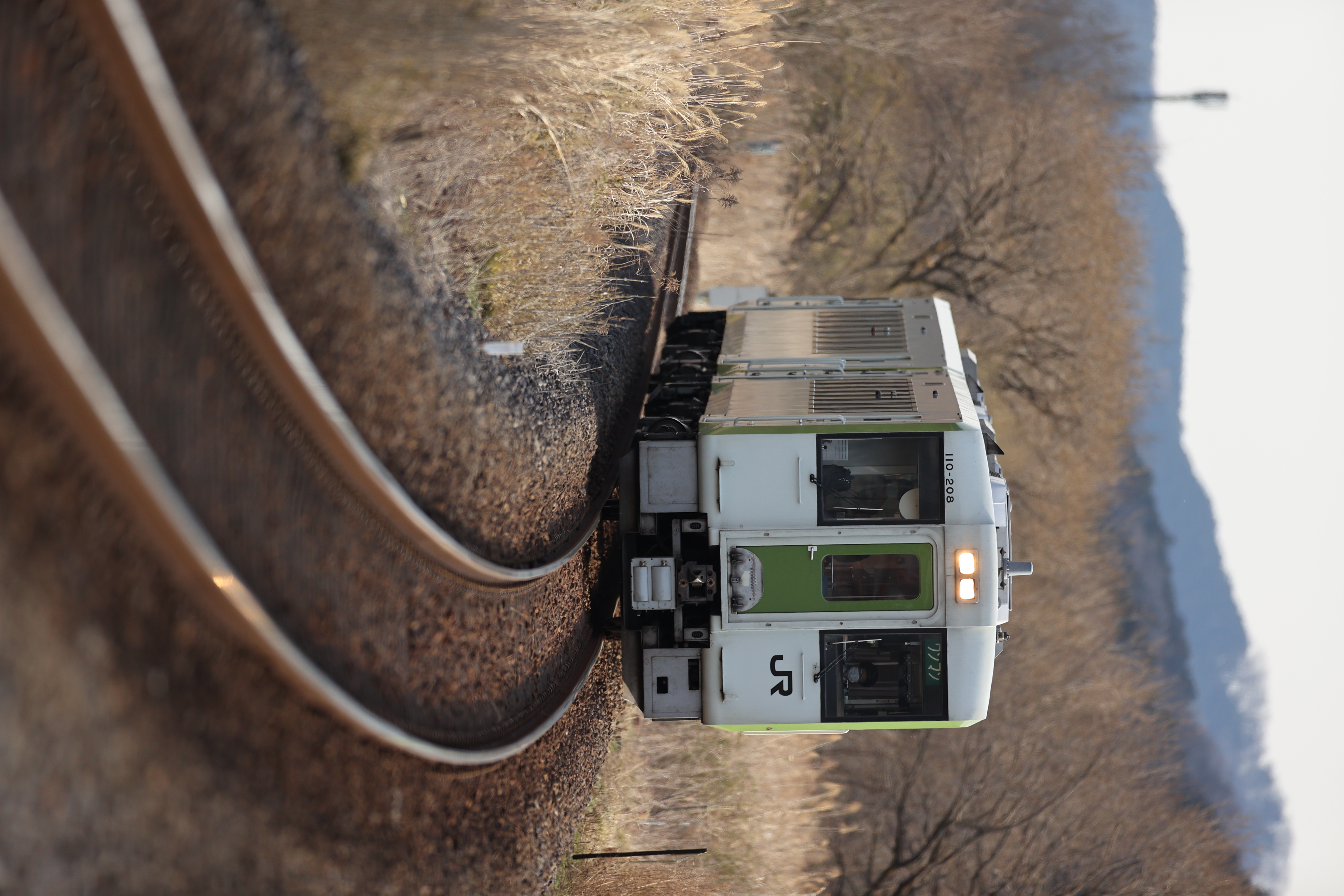 <span class="fnt-85">EOS-1D X Mark II＋EF400mm F2.8L IS III USM / シャッター優先AE（F3.2・1/1,600秒・±0EV） / ISO 200</span>