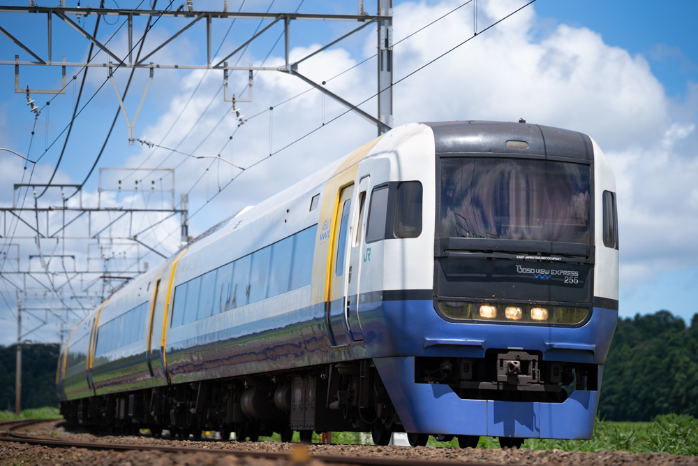 撮影：山下大祐<br><span class="fnt-85">α7 III / FE 135mm F1.8 GM / 135mm / マニュアル露出（1/6,400秒・F1.8） / ISO 100</span>