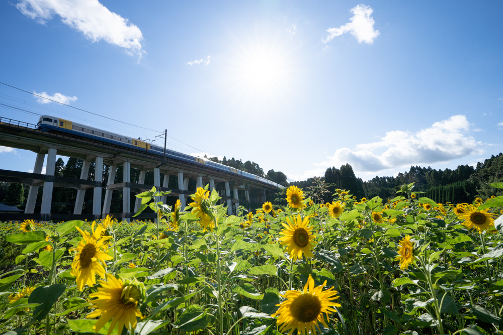 撮影：山下大祐<br><span class="fnt-85">α7 III / FE 16-35mm F2.8 GM / 17mm / マニュアル露出（1/1,000秒・F 10.0） / ISO 400</span>