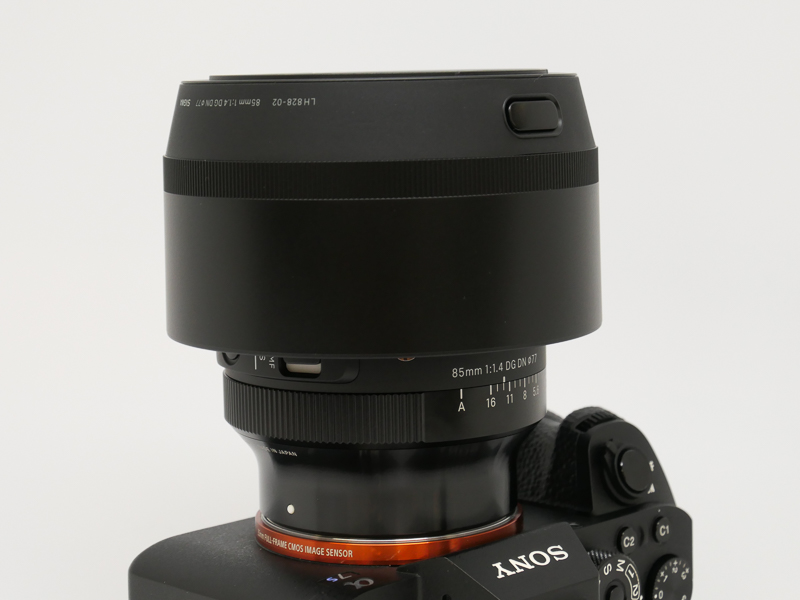 逆付けしたところ。