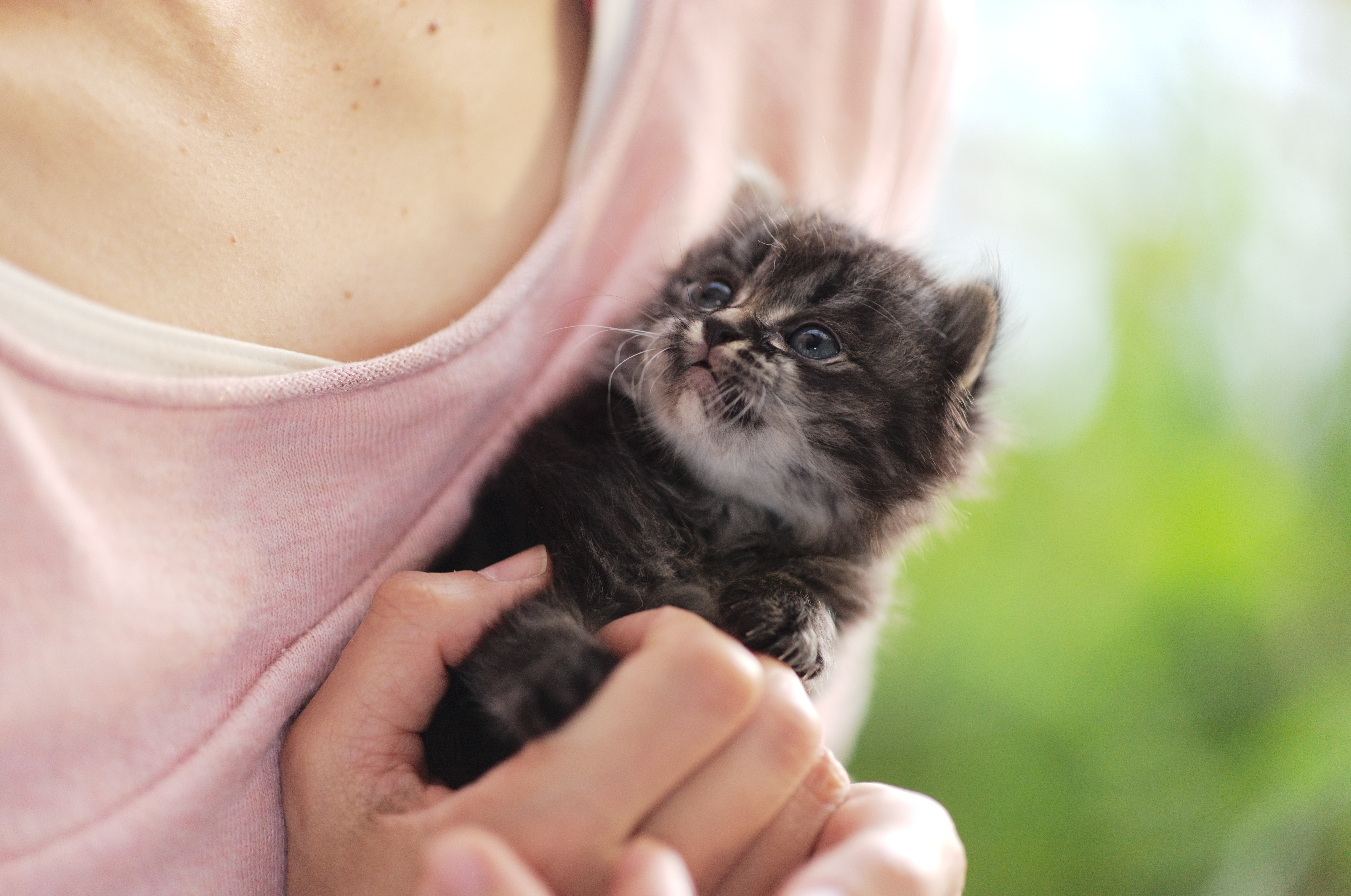 ライカS3　SUMMICRON-S 100mm f/2 ASPH.　F2・1/250秒　ISO 3200