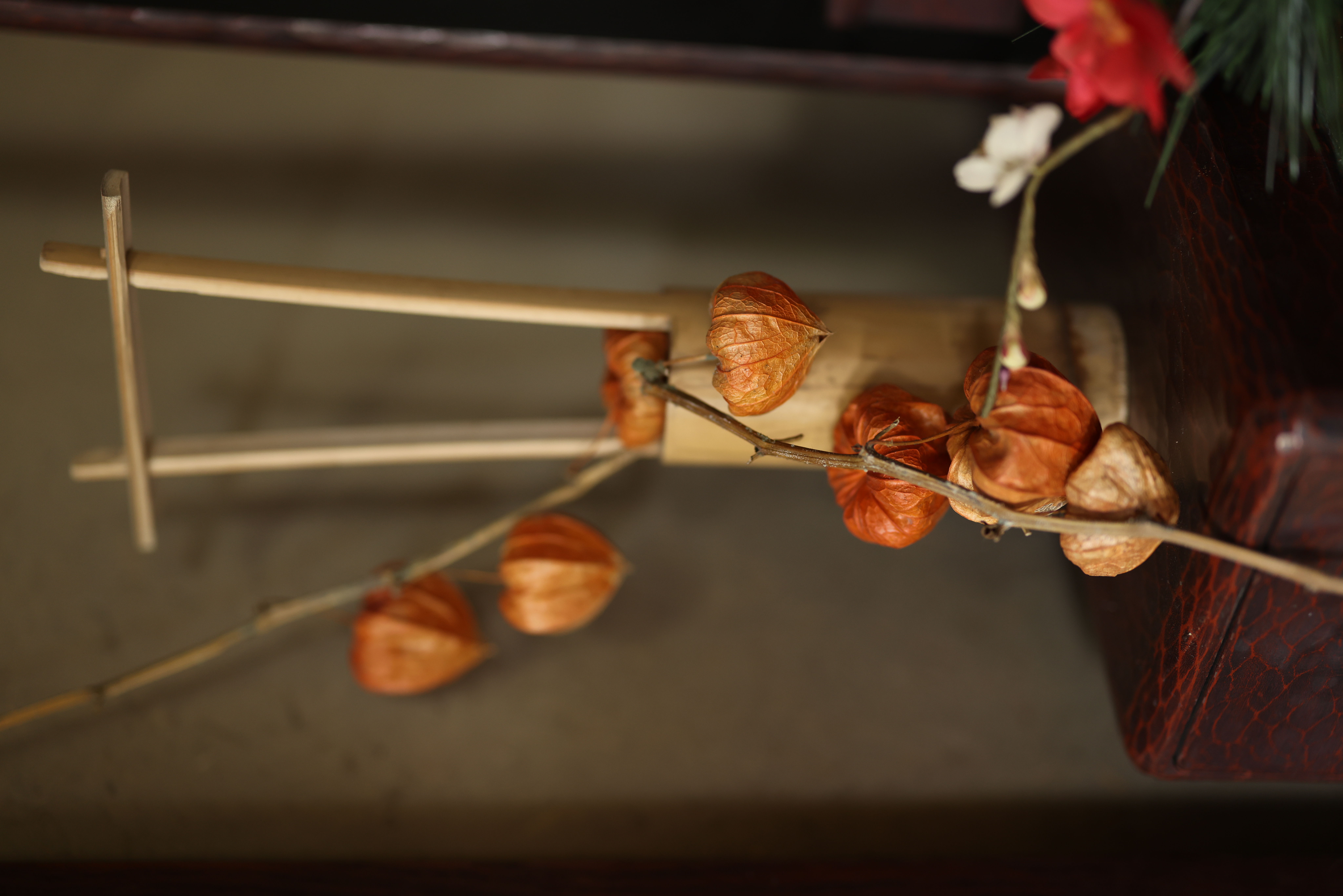 ISO感度を中間値にした場合<br><span class="fnt-85">EOS R5 / RF50mm F1.2 L USM / 絞り優先AE（F1.6・1/80秒・-1.0EV） / ISO 640</span>