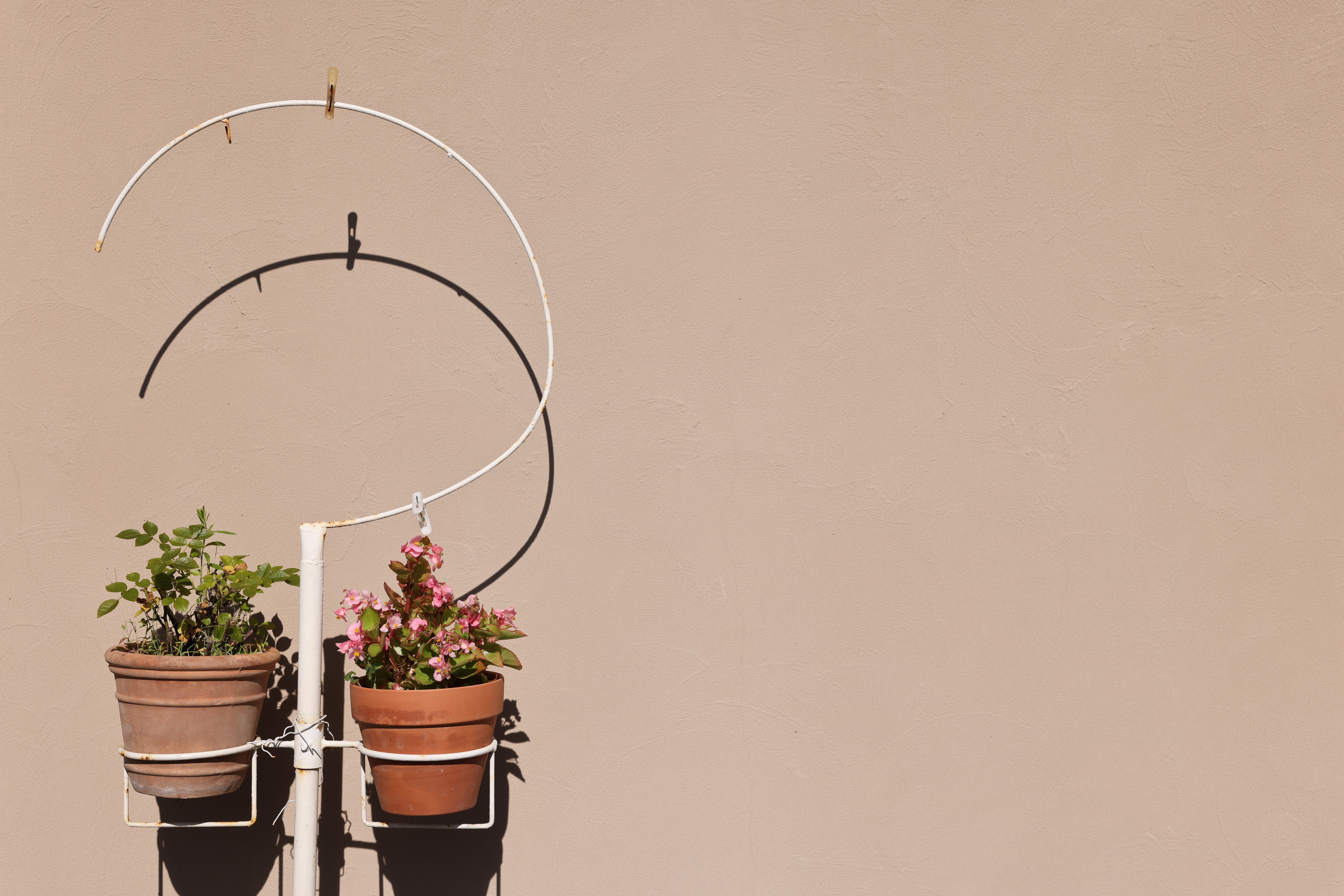 <span class="fnt-85">EOS R5 / RF24-70mm F2.8 L IS USM（50mm） / プログラムAE（F8・1/500秒・±0EV） / ISO 100</span>