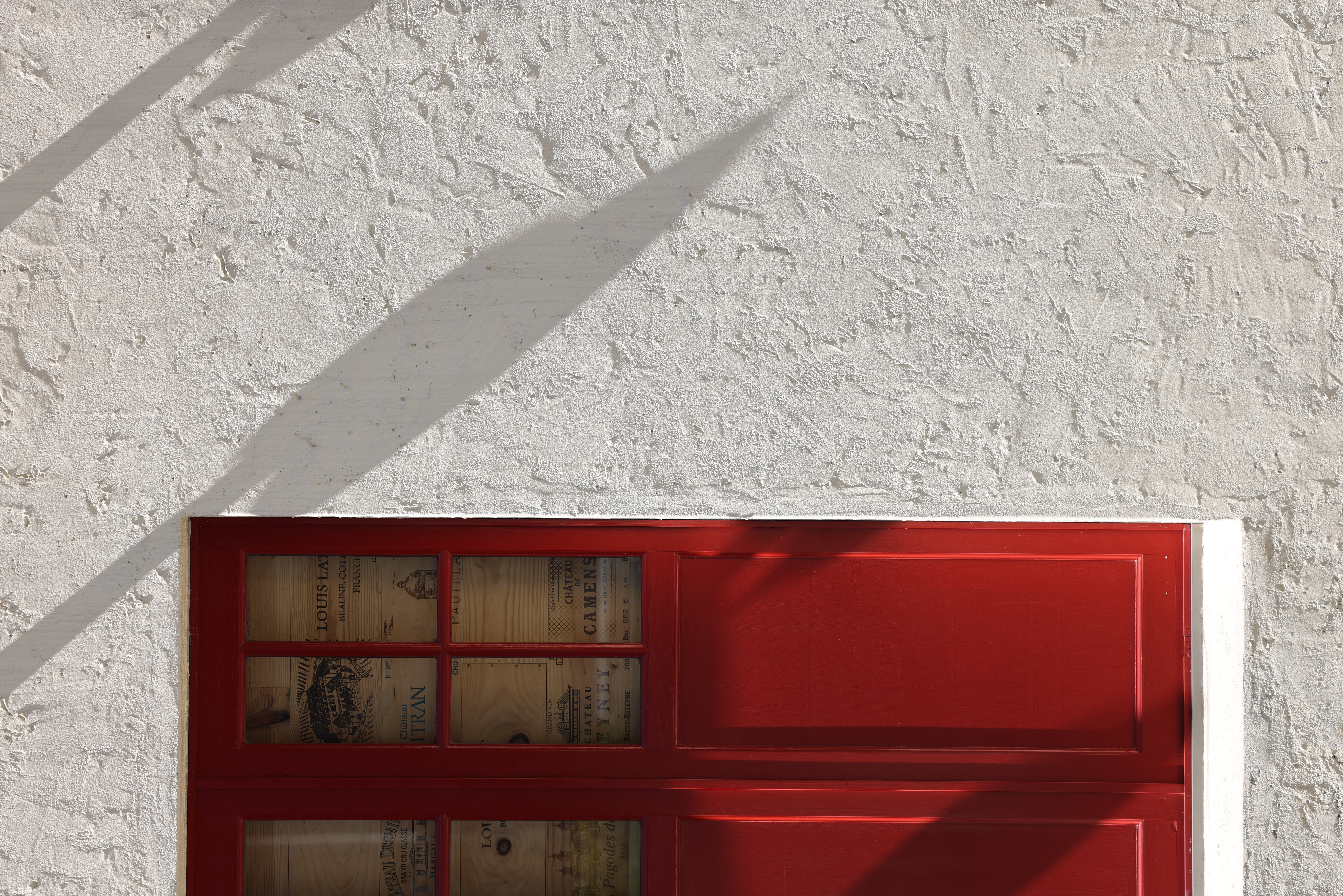 <span class="fnt-85">EOS R5 / RF70-200mm F2.8 L IS USM（124mm） / プログラムAE（F5・1/400秒・+0.7EV） / ISO 100</span>