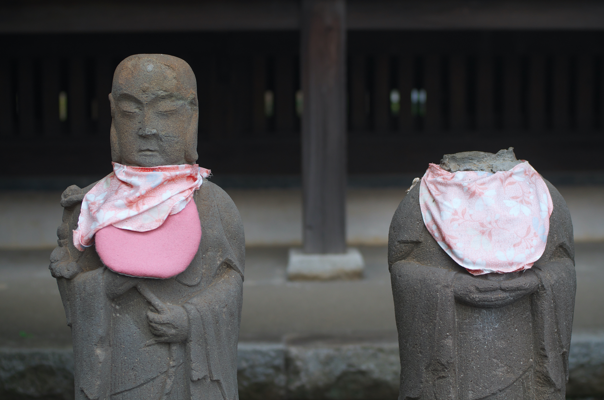 うちの家訓で、デジタル専用のsmc PENTAX DAレンズは購入してはいけないことになっているのが、本レンズのみは特例として許可。徹底した薄さに敬意を評したからである。写りに関しても余裕の描写で、シャープネスだけではなくてボケ味もいいのだ。性能の高いレンズ＝大きい、重い、という図式を覆したが、これもAPS-Cフォーマットならではの設計となれば、今後も個性あるレンズを開発してほしい。<br>PENTAX K-01　smc PENTAX-DA 40mm F2.8 XS（F4・1/500秒）ISO 400