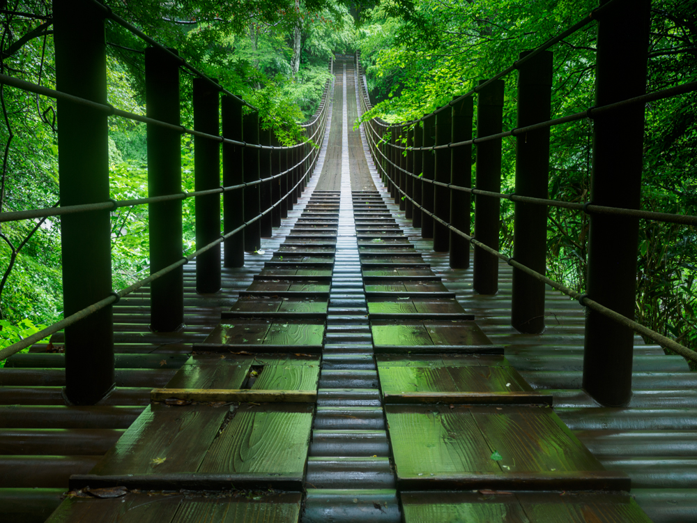 新緑や紅葉の時期が美しい花貫渓谷にかかる吊り橋。雨の後、ぬれた吊り橋の床に緑が映り込んだ。シャドウからハイライトまで階調が豊かで奥行きのある表現ができた。<br><span class="fnt-85">OM-D E-M1 MarkIII / M.ZUIKO DIGITAL ED 12-100mm F4.0 IS PRO / 17mm（34mm相当） / 絞り優先AE（F8、1秒、-1.3EV） / ISO 200/ WB:晴天</span>
