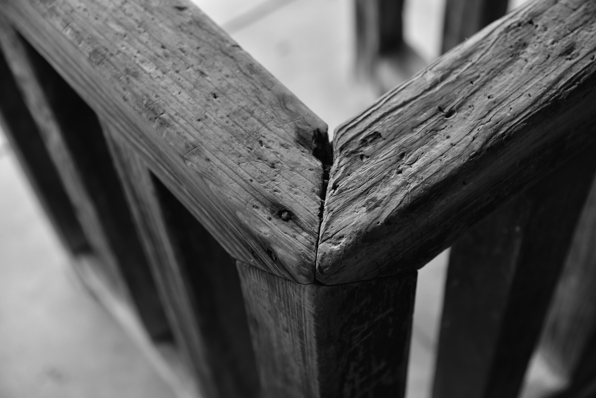 ニコンD750　AF-S NIKKOR 24-120mm f/4G ED VR（58mm）　絞り優先オート　（F4、1/250秒）　ISO 200